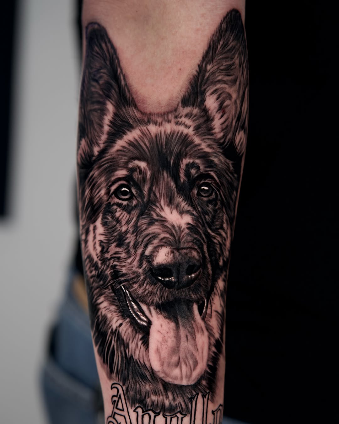 German Shepherd portrait realism tattoo on the forearm by Travis