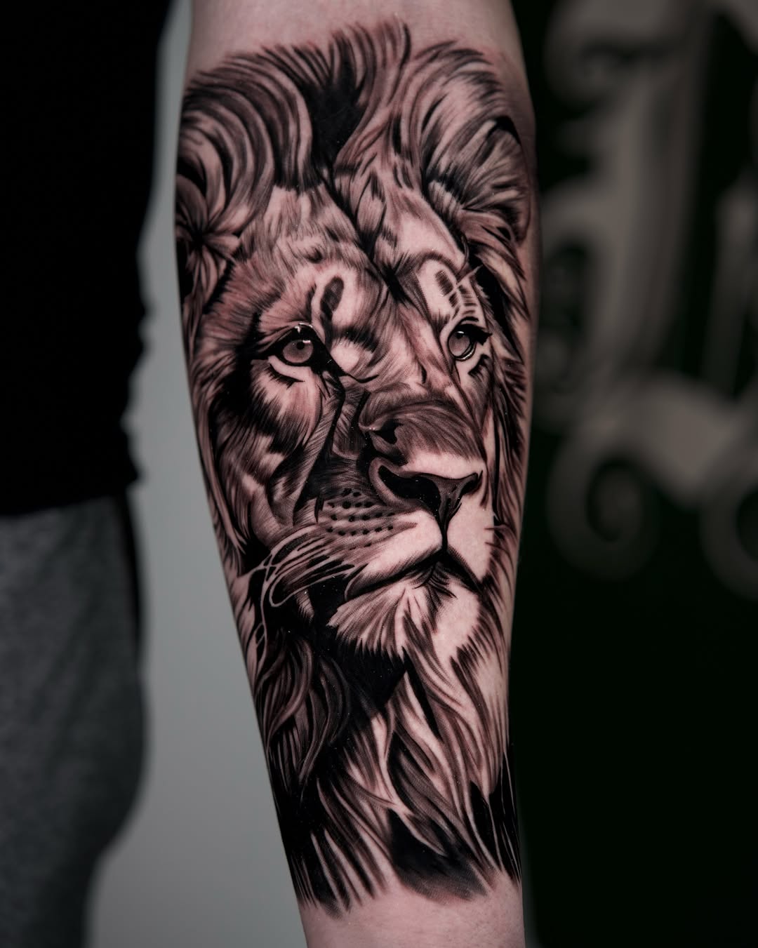 Lion portrait realism tattoo on the forearm by Travis