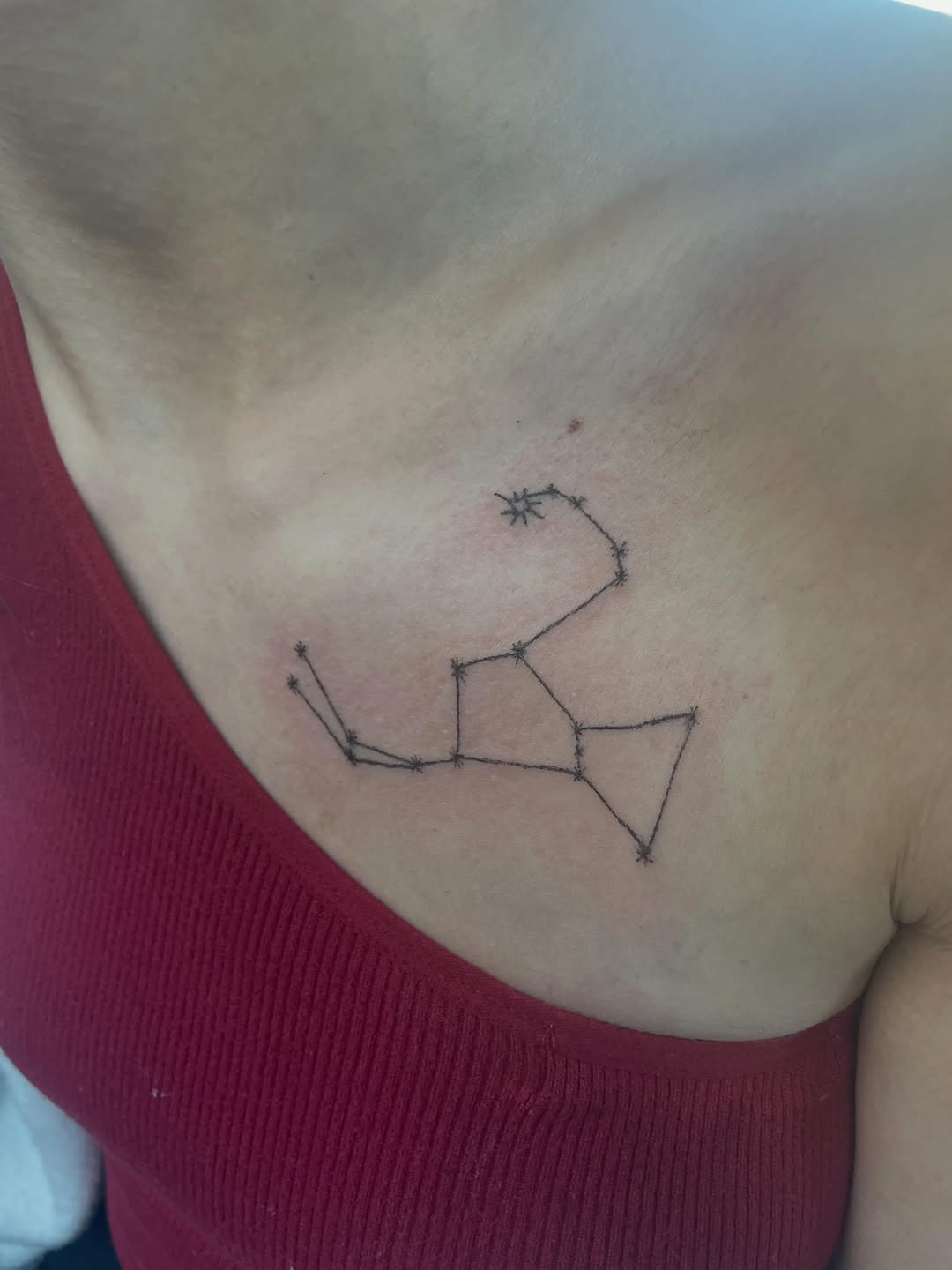 Tattoo by @erinhainestattoos — fine_line, minimalist