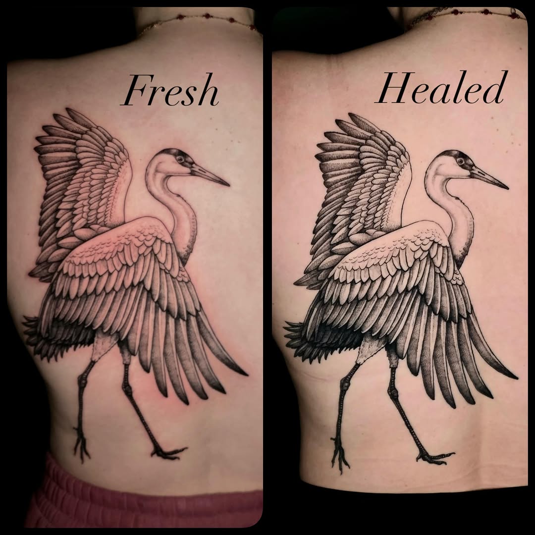 Crane bird fine line tattoo on the back by Nick de Hoyos