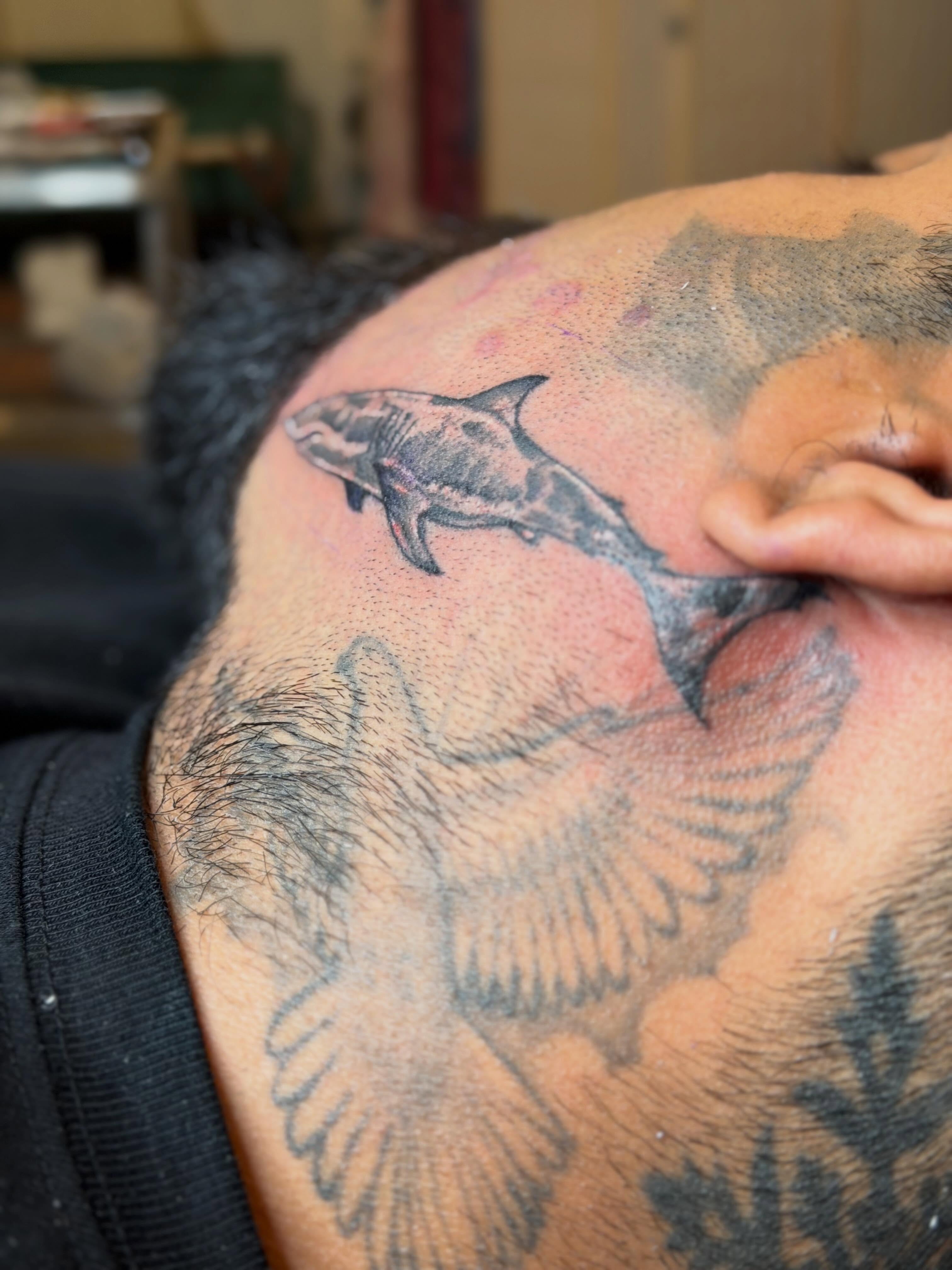 Shark realism tattoo on the shoulder by Summer Christman