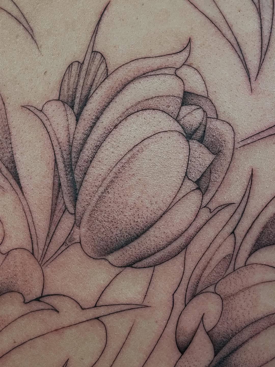 Tattoo by @mimiblu_stattoos — dotwork, black_and_grey