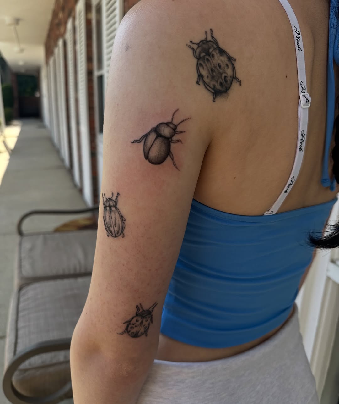 Collection of beetles fine line tattoo on the shoulder by Jocelyn