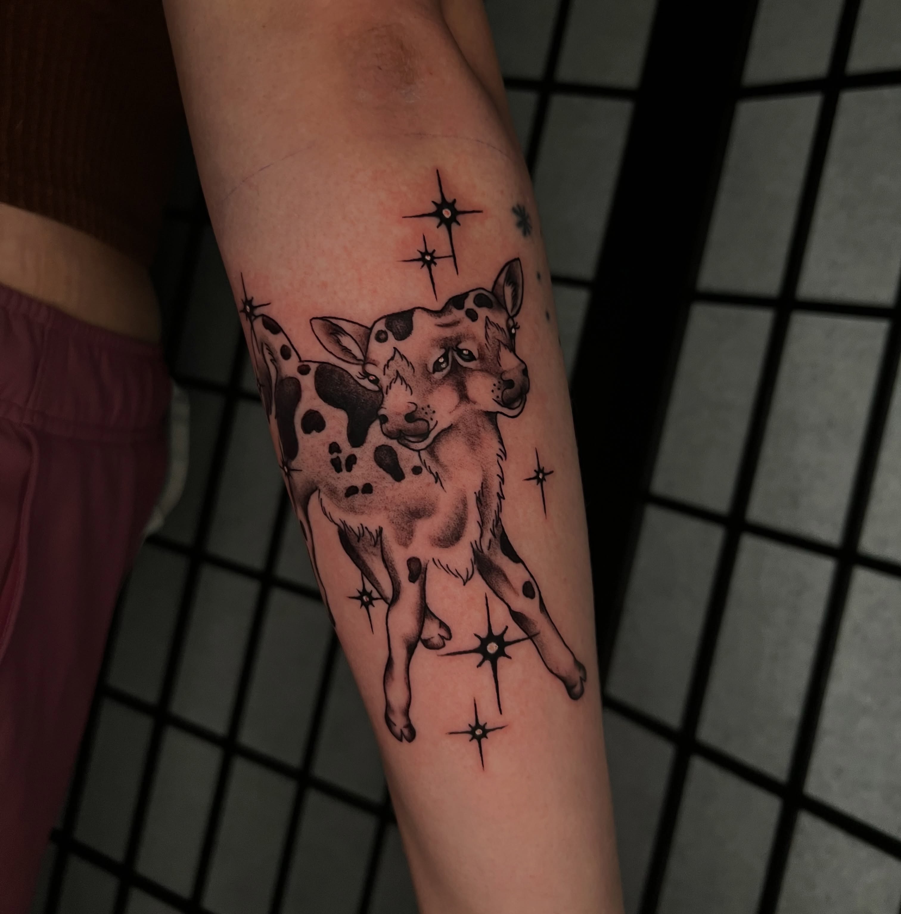 Cow and stars black and grey tattoo on the forearm by Vic Merkley