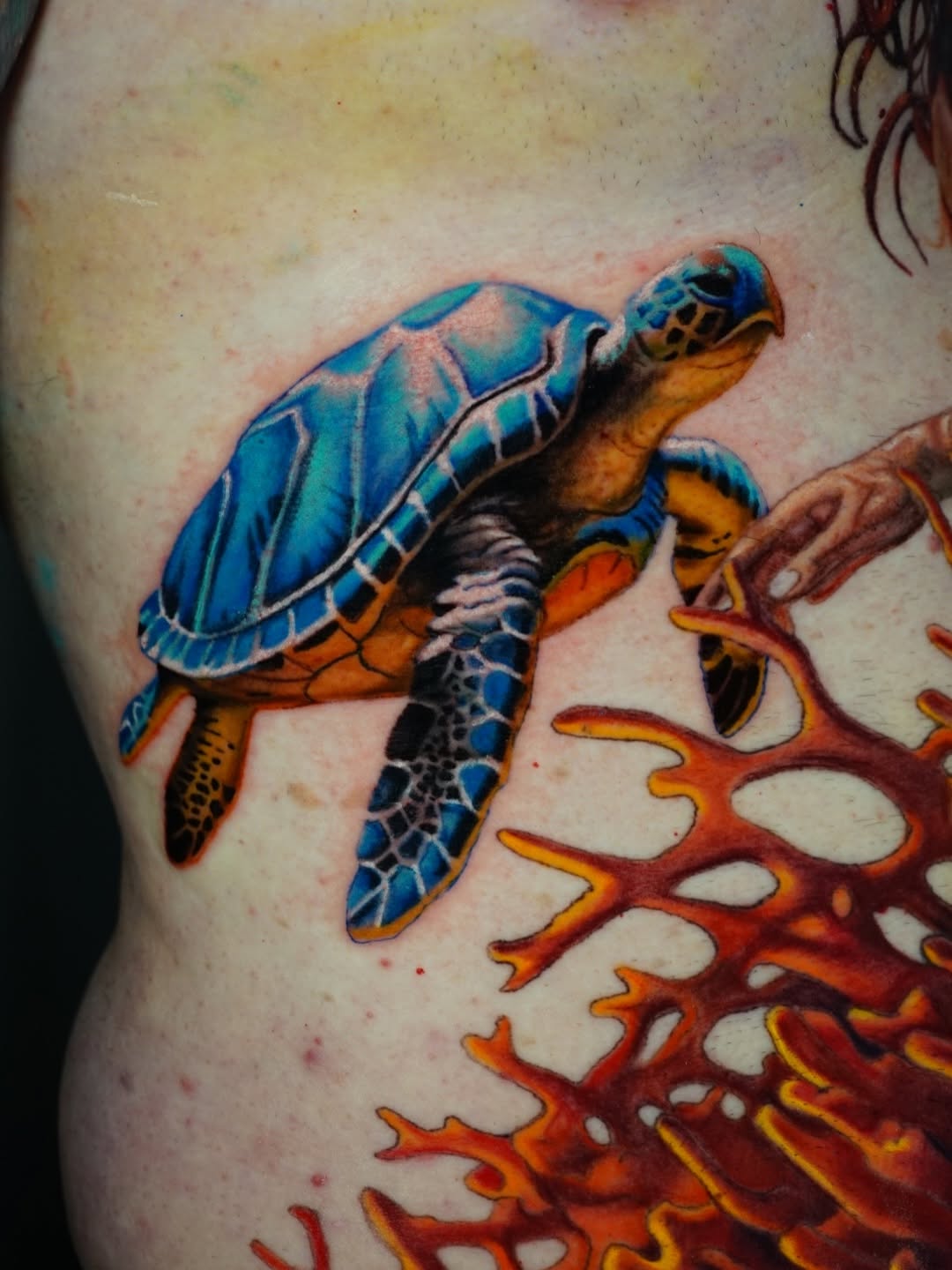 Sea turtle and coral watercolor tattoo on the shoulder by Nate