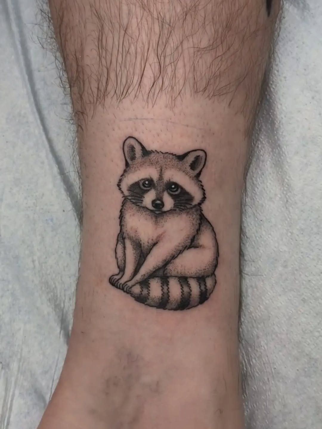 Raccoon realism tattoo on the forearm by Damon 🥀