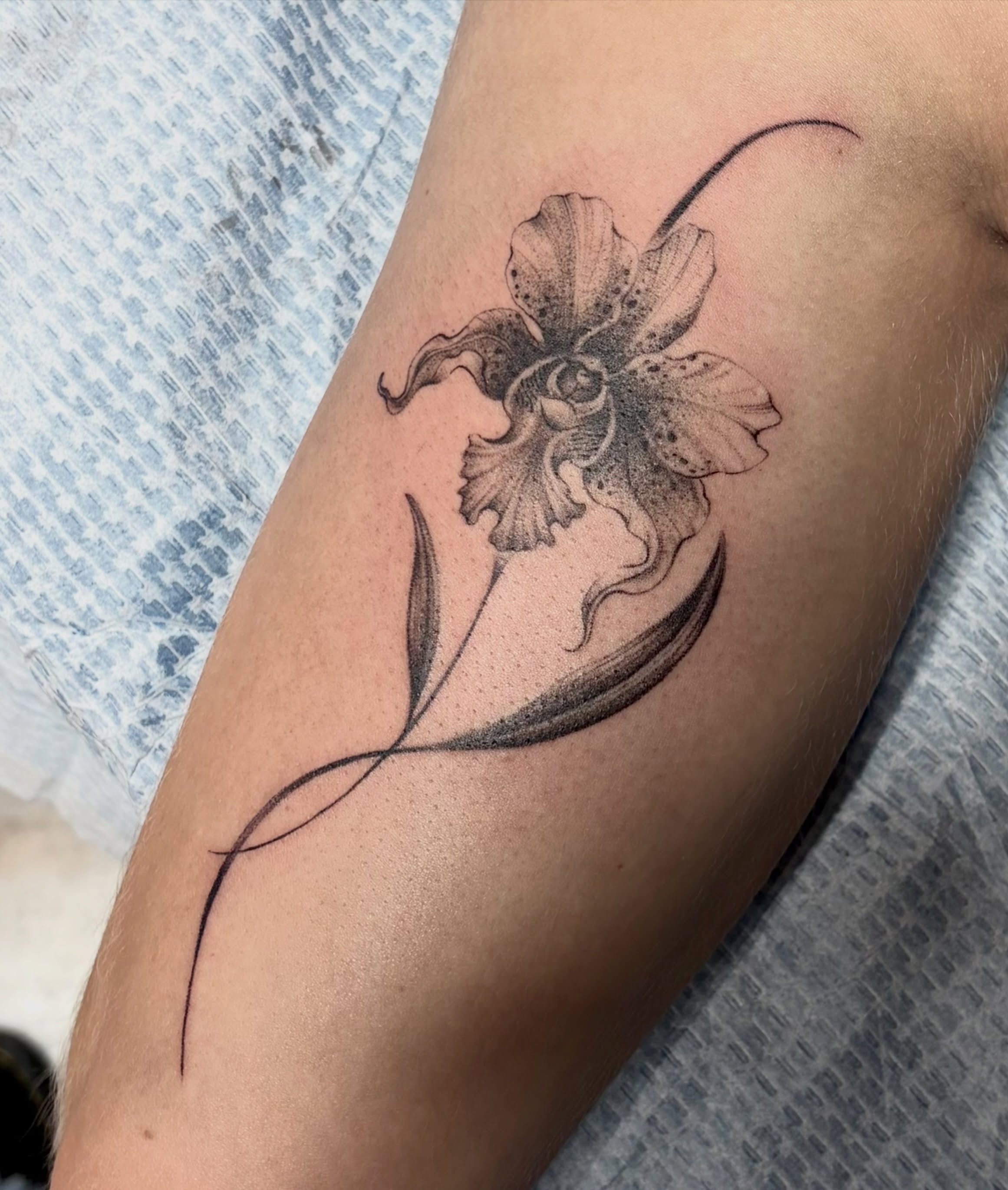 Tattoo by @aannamosity — fine_line, black_and_grey