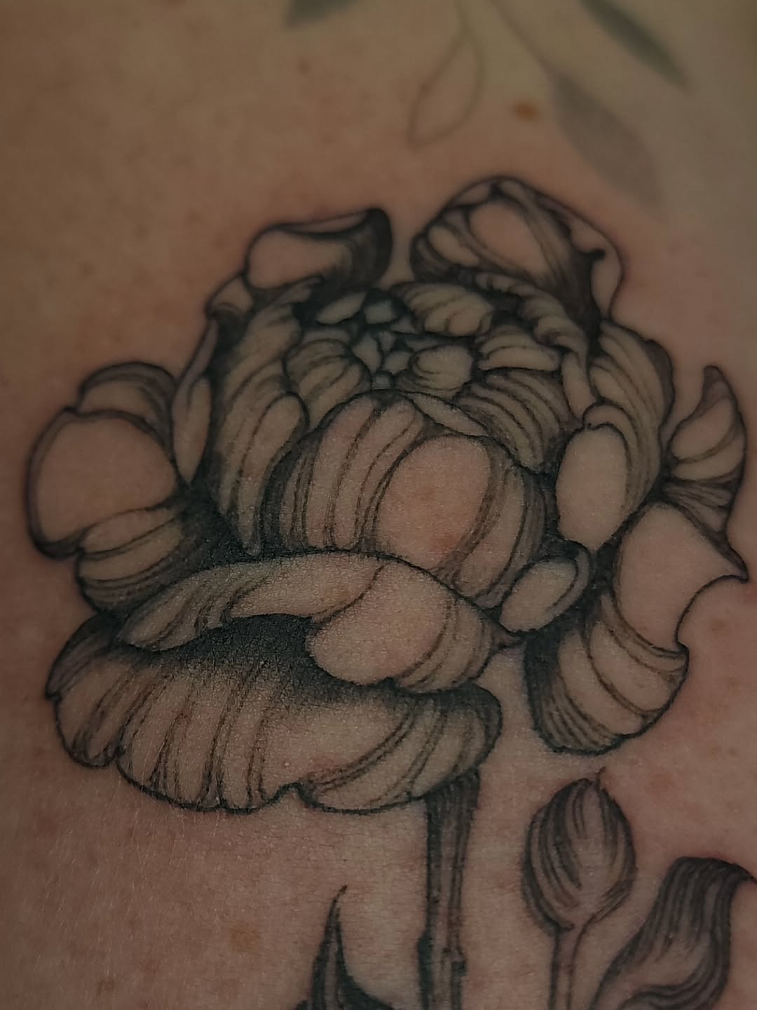Tattoo by @hirentattoos โ black_and_grey, realism