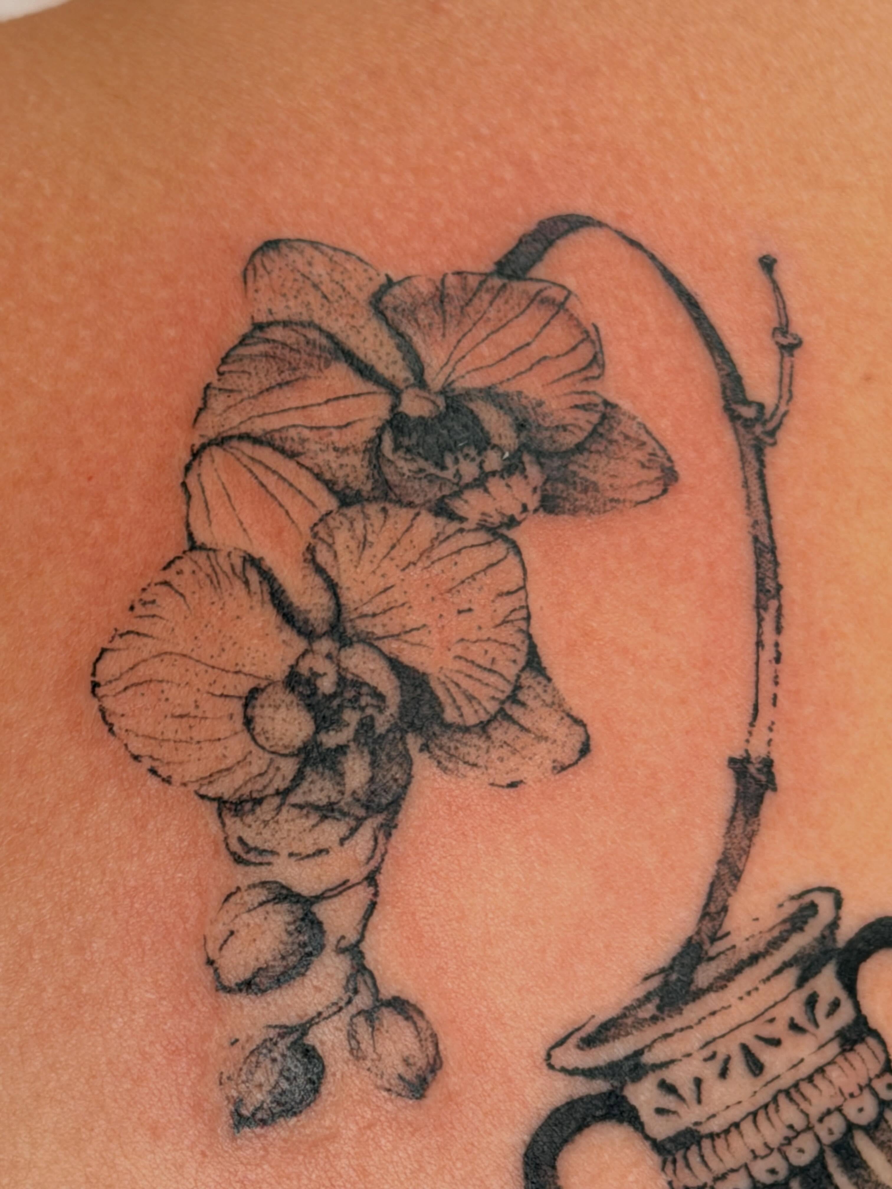 Orchid black and grey tattoo on the back by Babymaxy Inks Llc