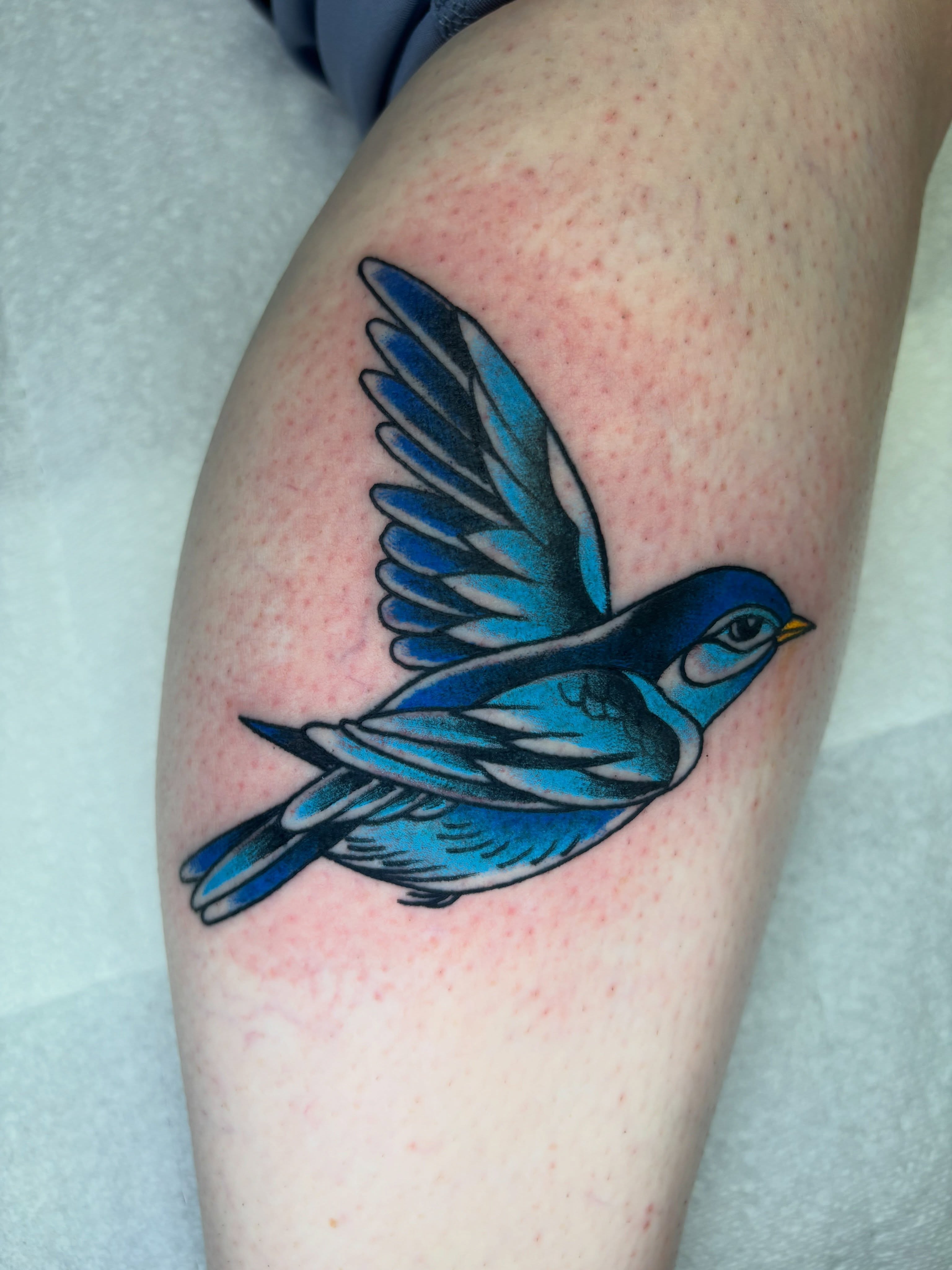 Bluebird American traditional tattoo on the thigh by AARON MASTERS - Tattoo Artist