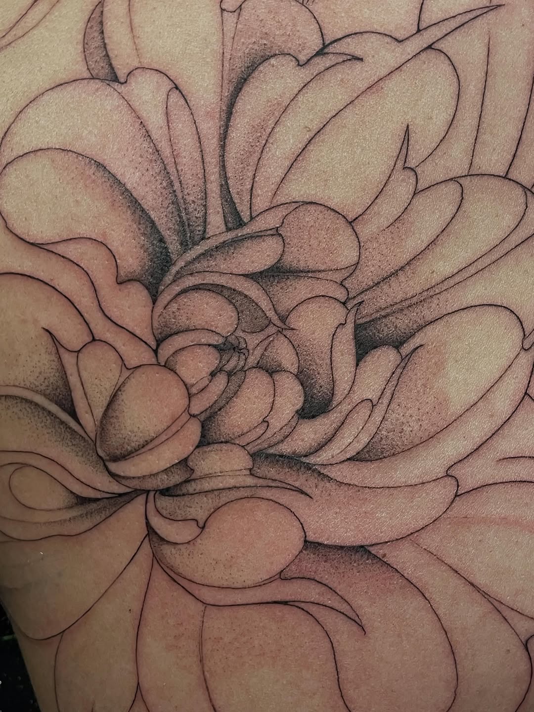 Tattoo by @mimiblu_stattoos — dotwork, black_and_grey