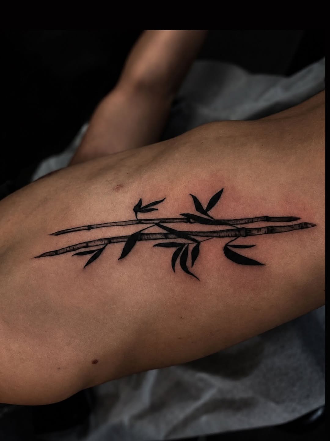 Bamboo branch blackwork tattoo on the forearm by @elijahtats