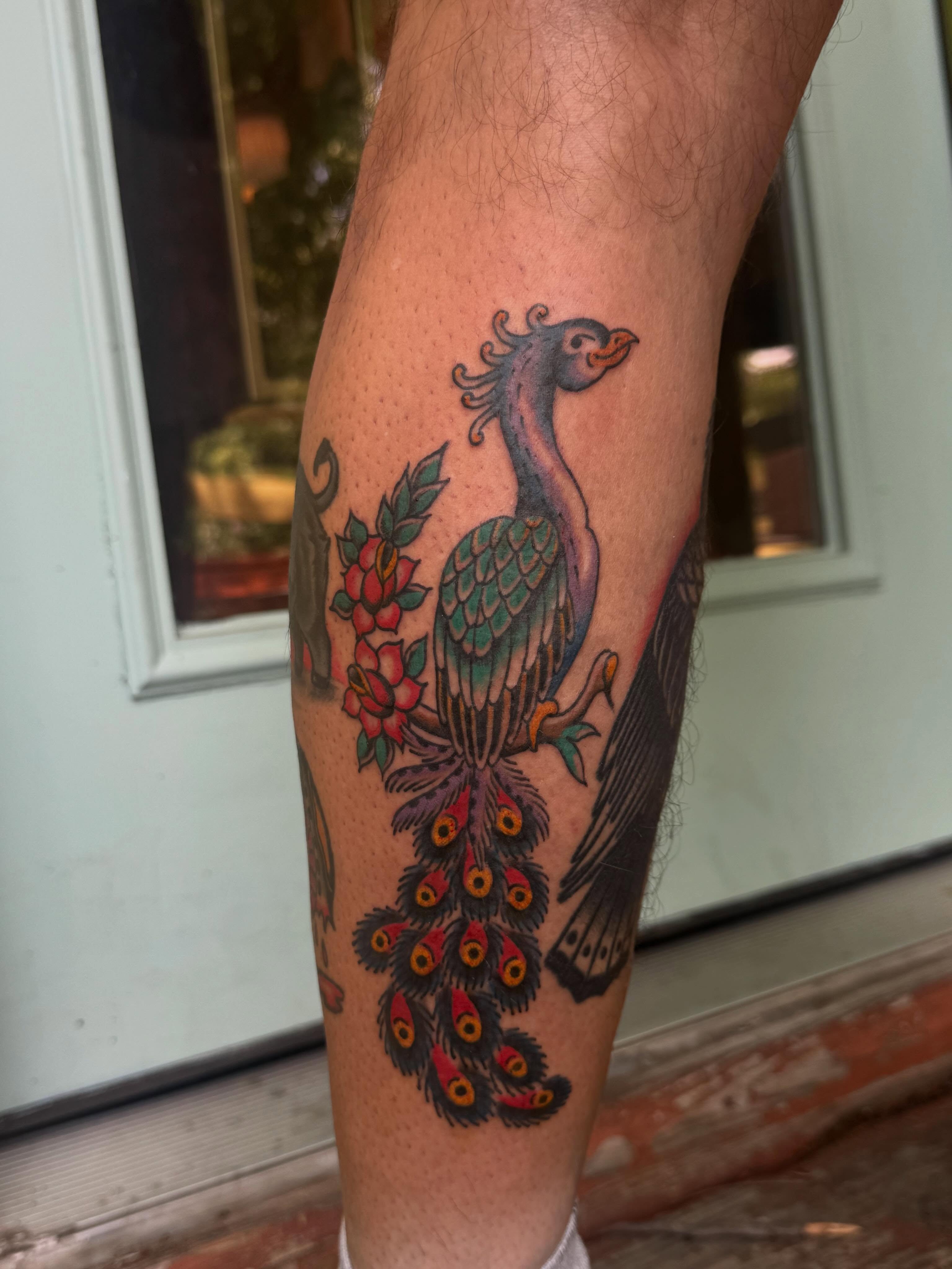 Peacock American traditional tattoo on the calf by B