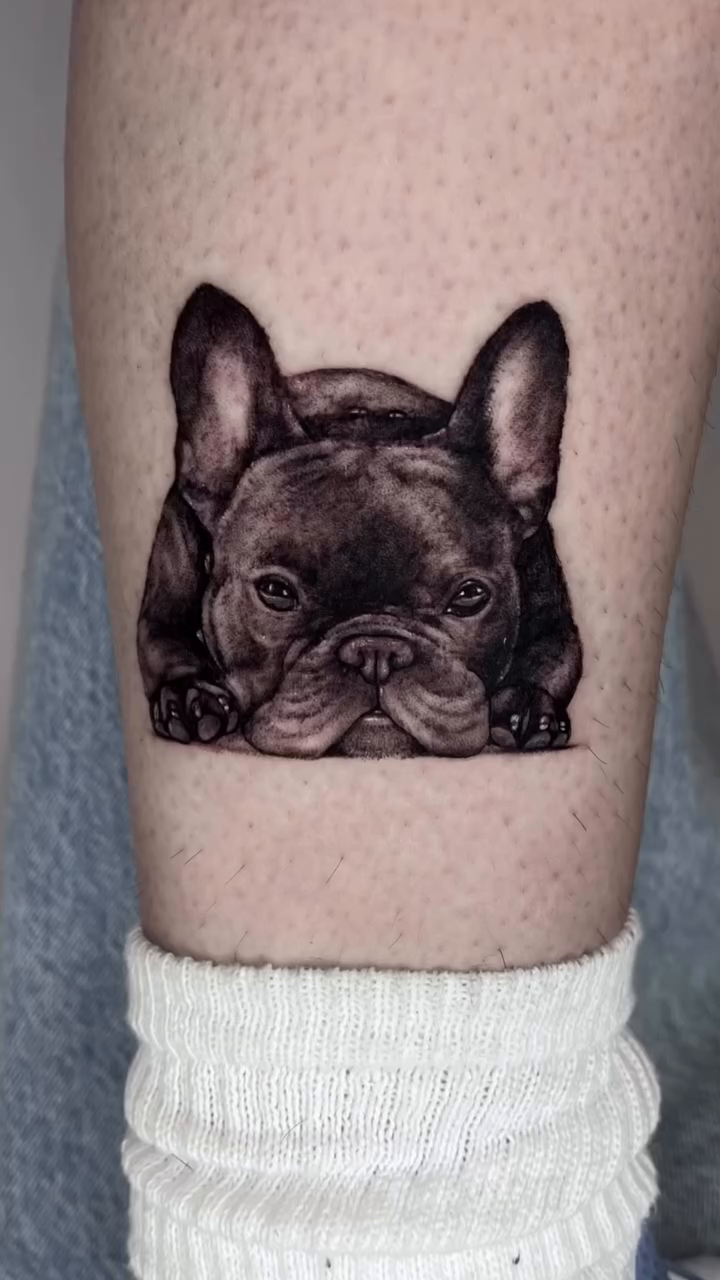 French Bulldog portrait realism tattoo by Milk Tattoos 🇸🇻🇪🇸