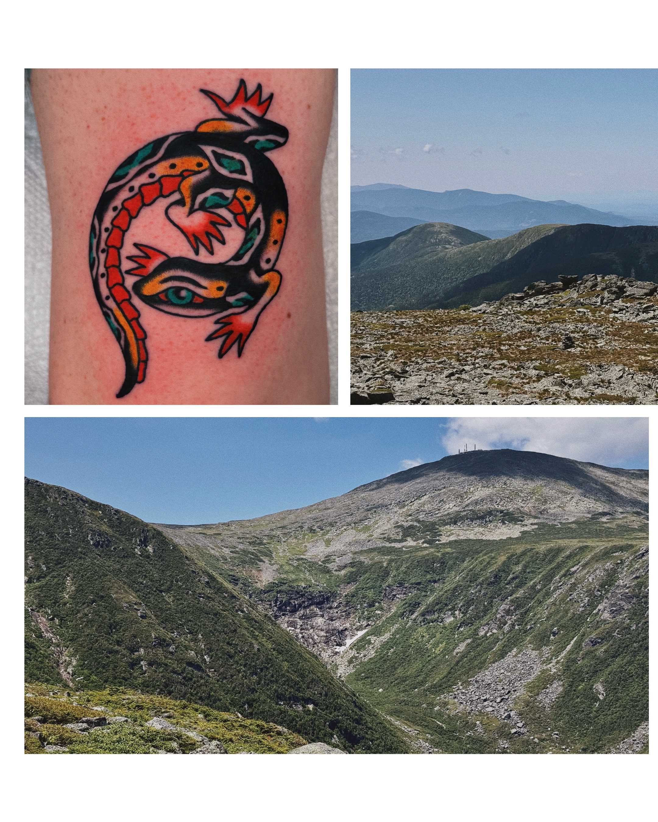 Lizard new school tattoo on the forearm by Sean Michel, Nashua, New Hampshire