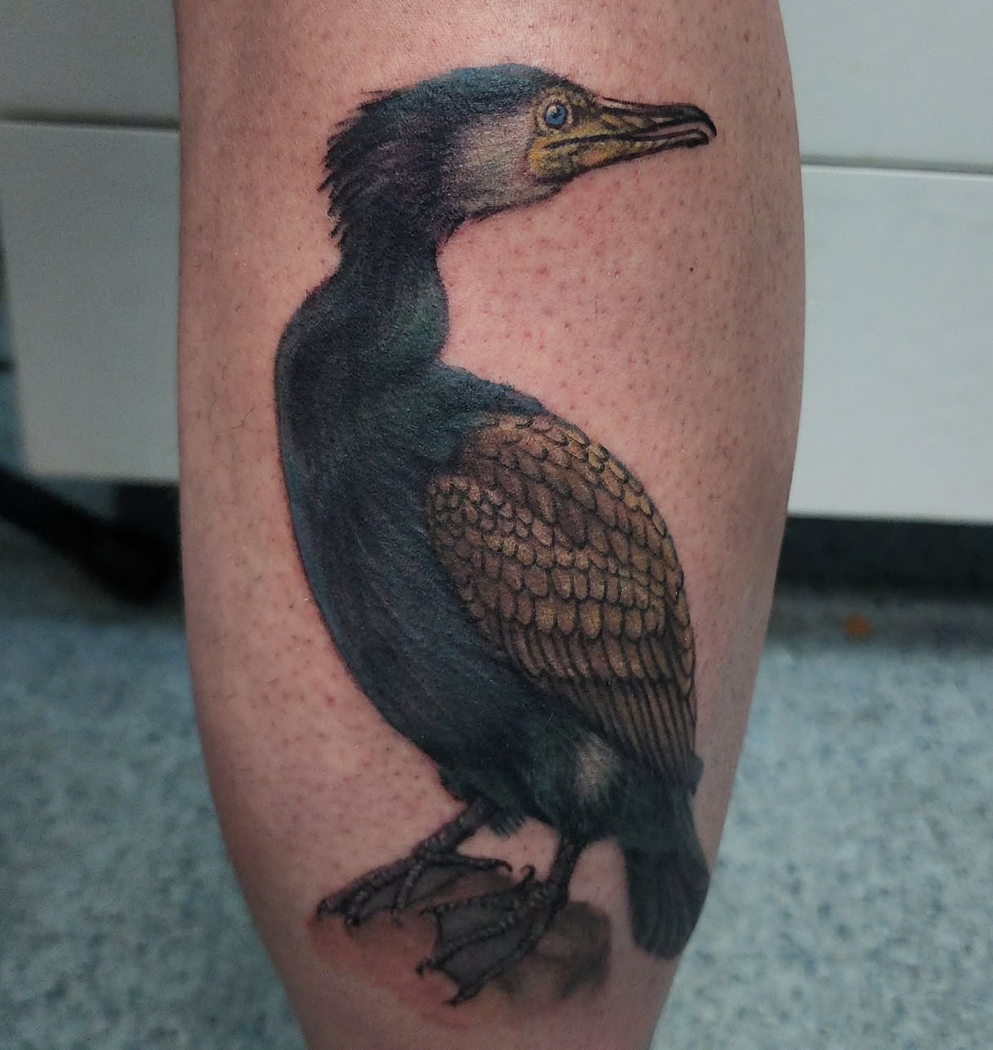 Bird realism tattoo on the forearm by Katie Palmer