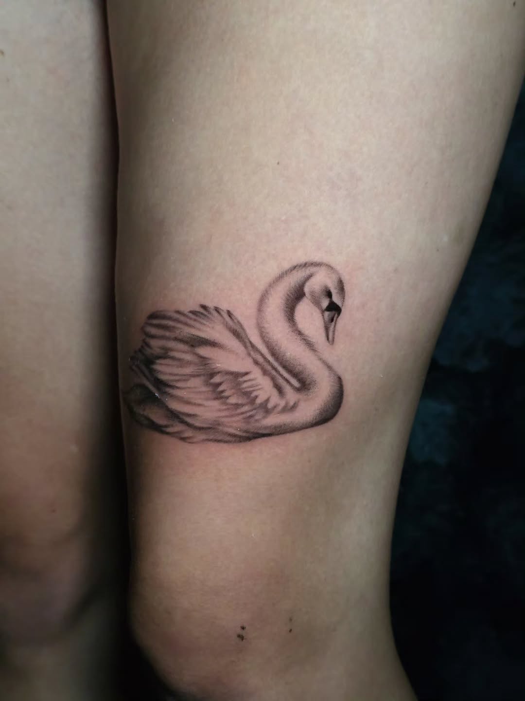 Tattoo by @faerie_rot_ โ realism, black_and_grey