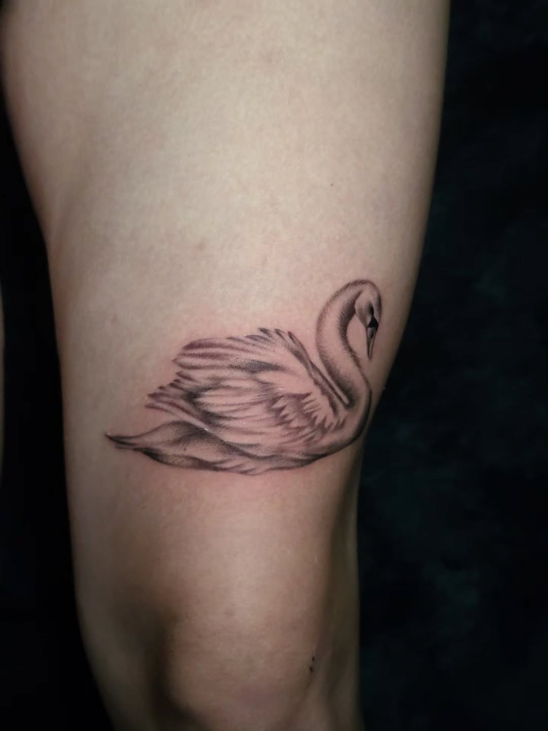 Tattoo by @faerie_rot_ โ realism, black_and_grey