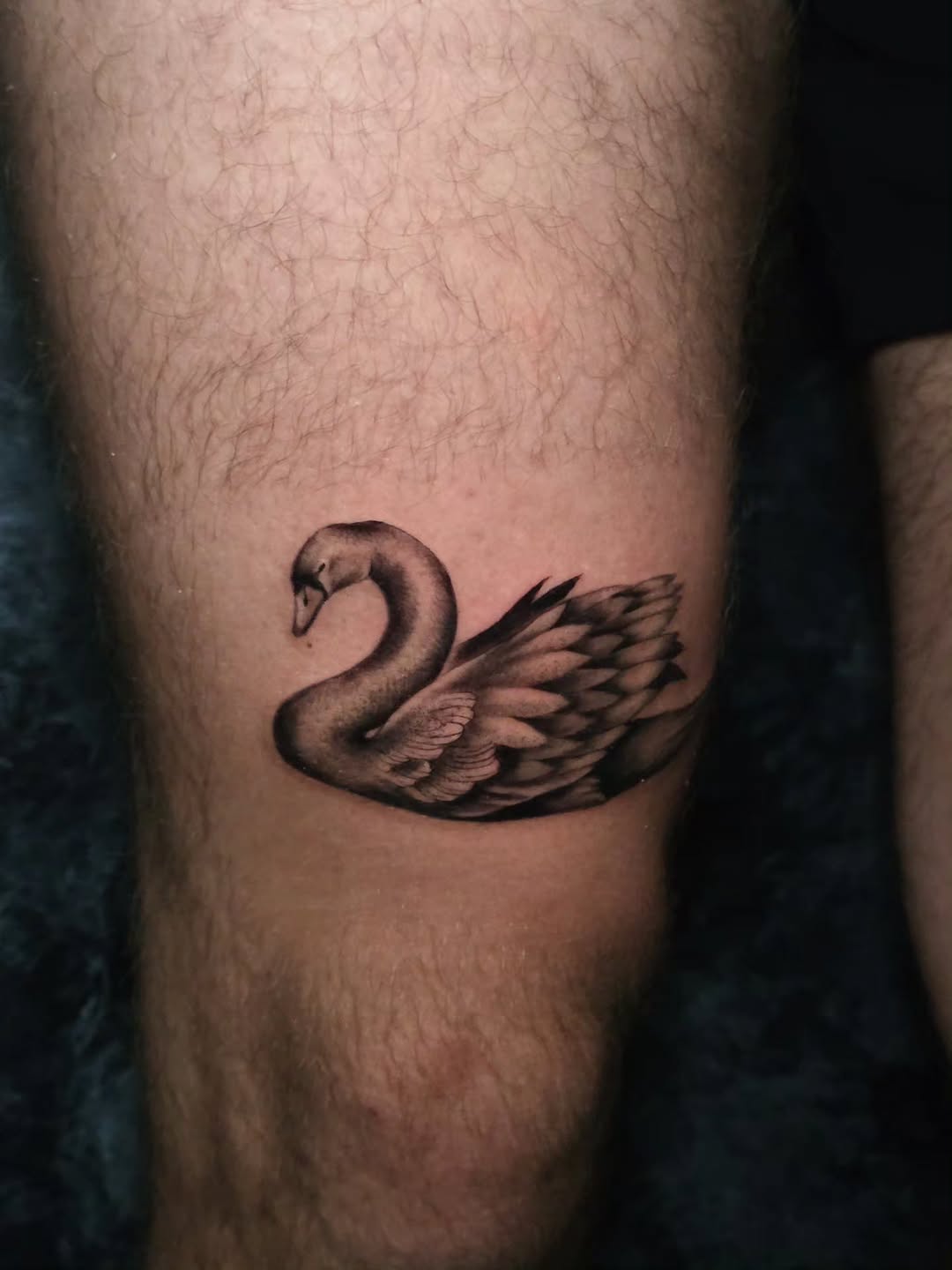 Tattoo by @faerie_rot_ โ realism, black_and_grey