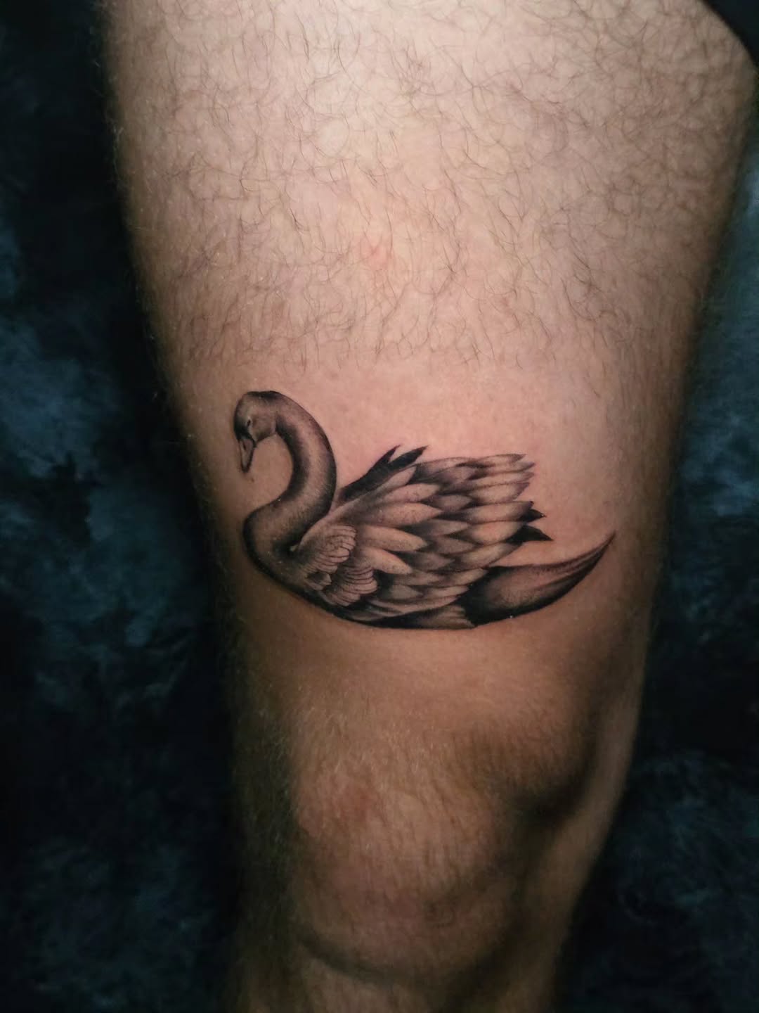 Tattoo by @faerie_rot_ โ realism, black_and_grey