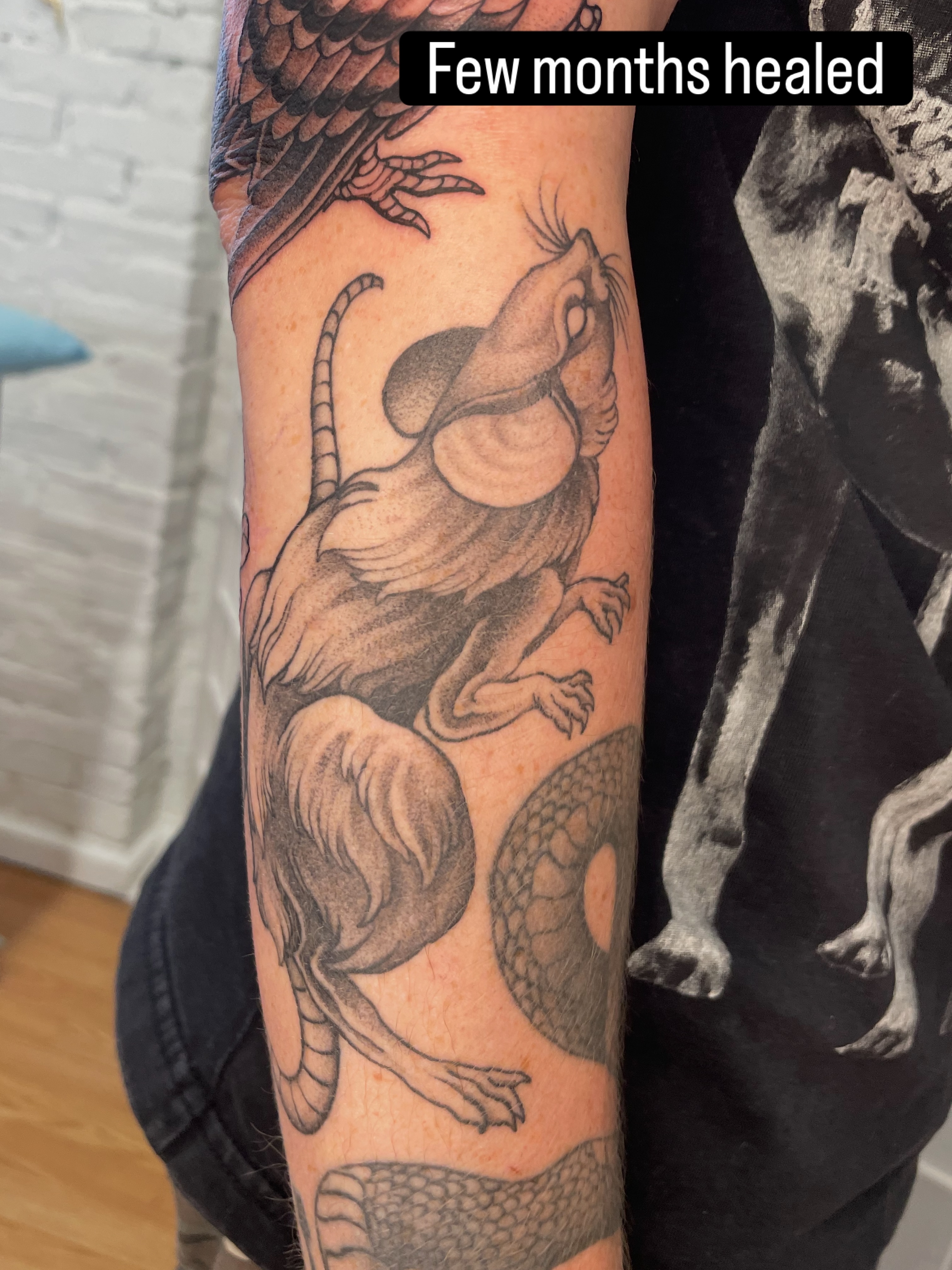 Tattoo by @collie_tattoos — black_and_grey, realism
