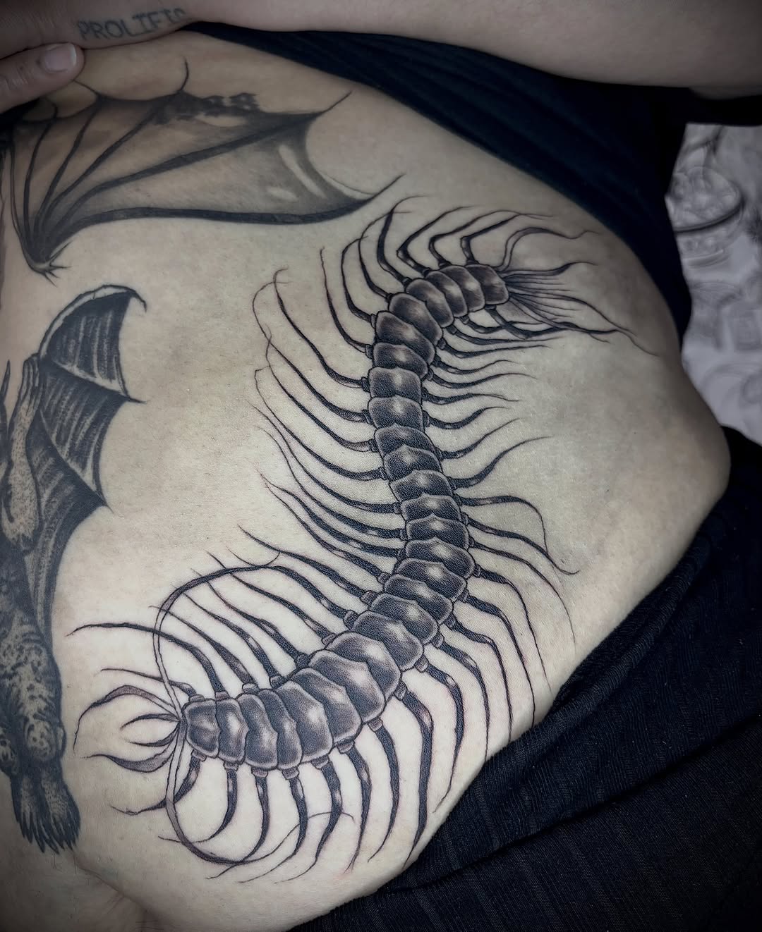 Centipede blackwork tattoo on the torso by Weho Tattoo Artist Lupe