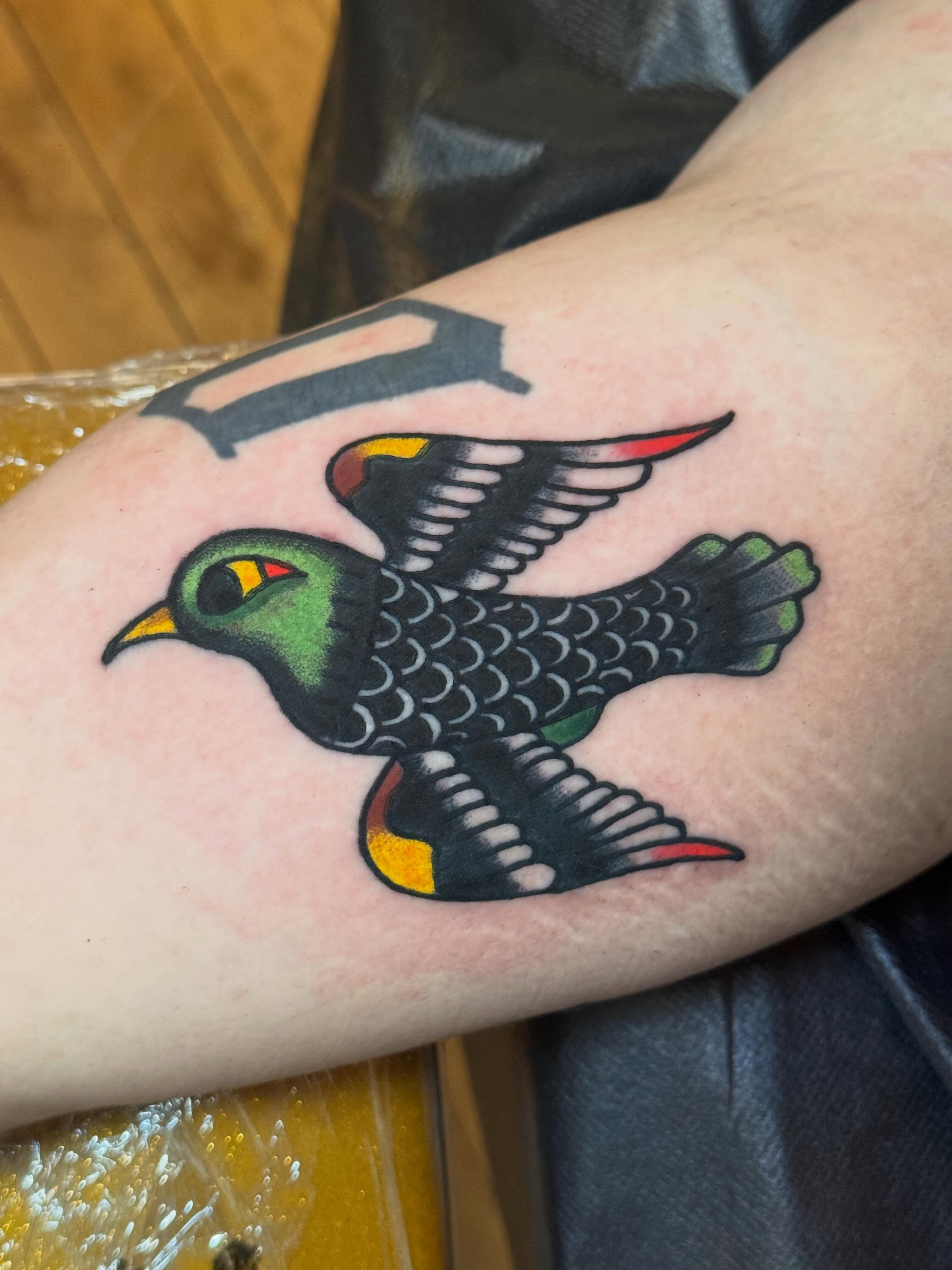 Bird American traditional tattoo on the forearm by Zach Lemieux