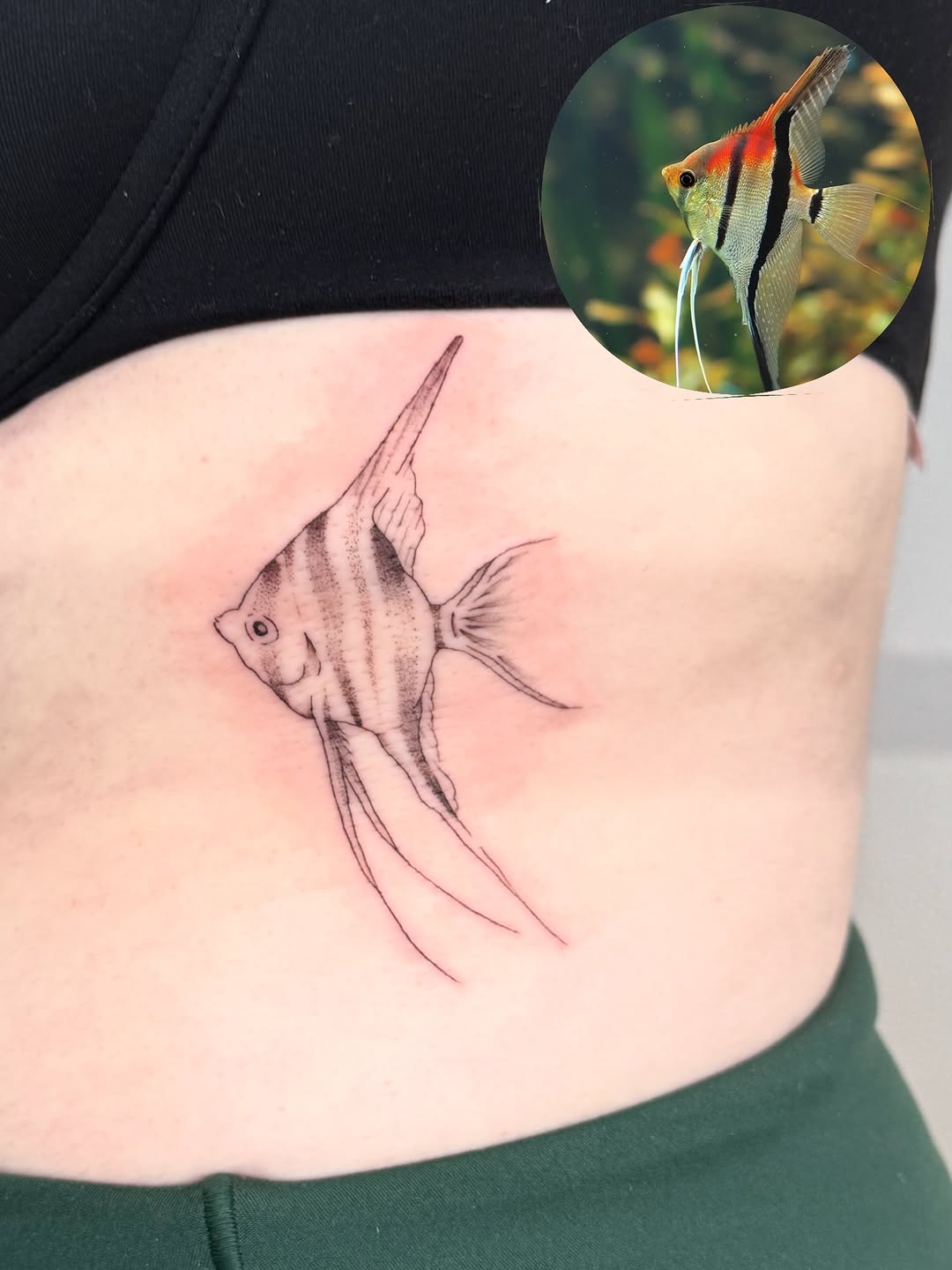 Tattoo by @bearangeltattoo — fine_line, realism