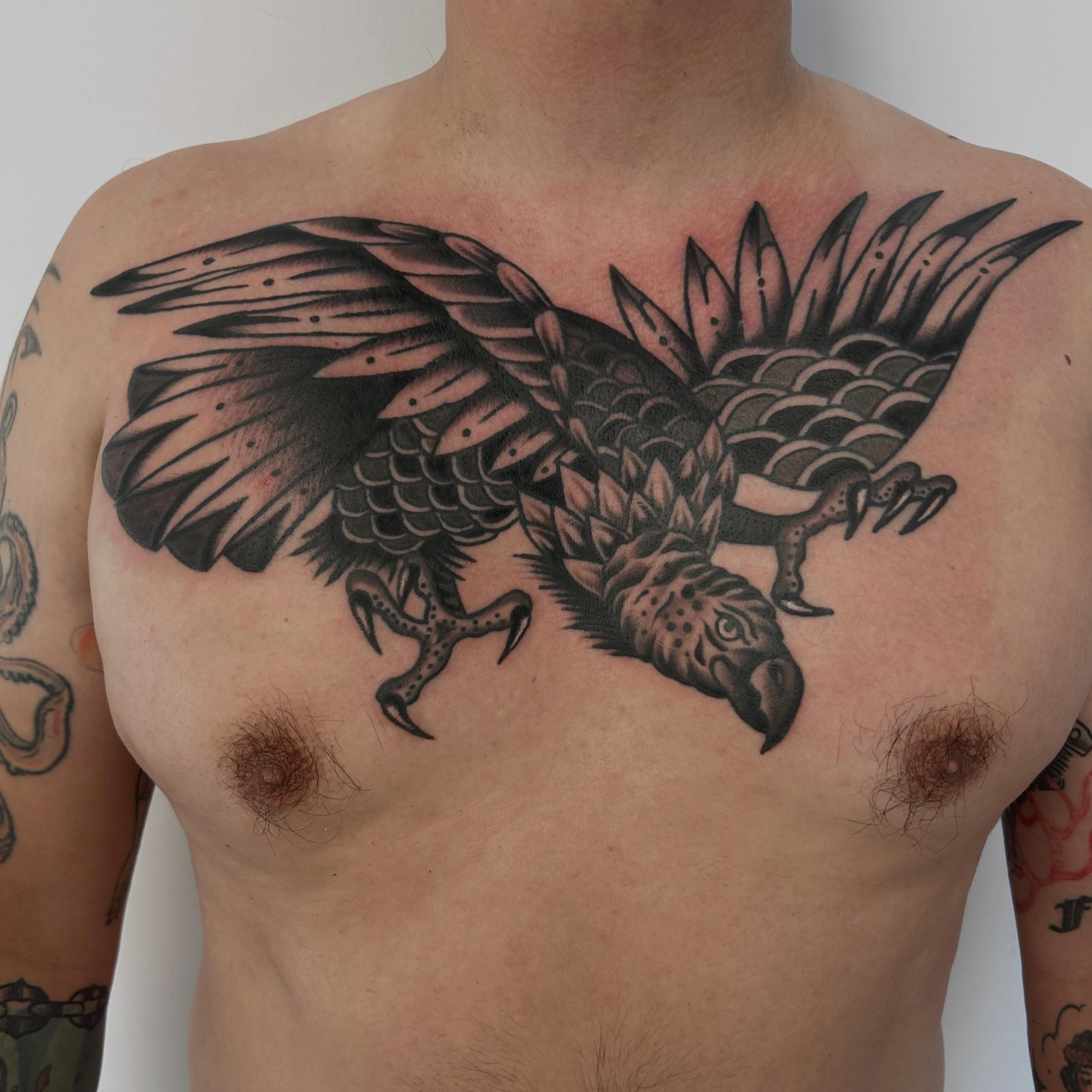 Parrot black and grey tattoo on the chest by Alex Lang