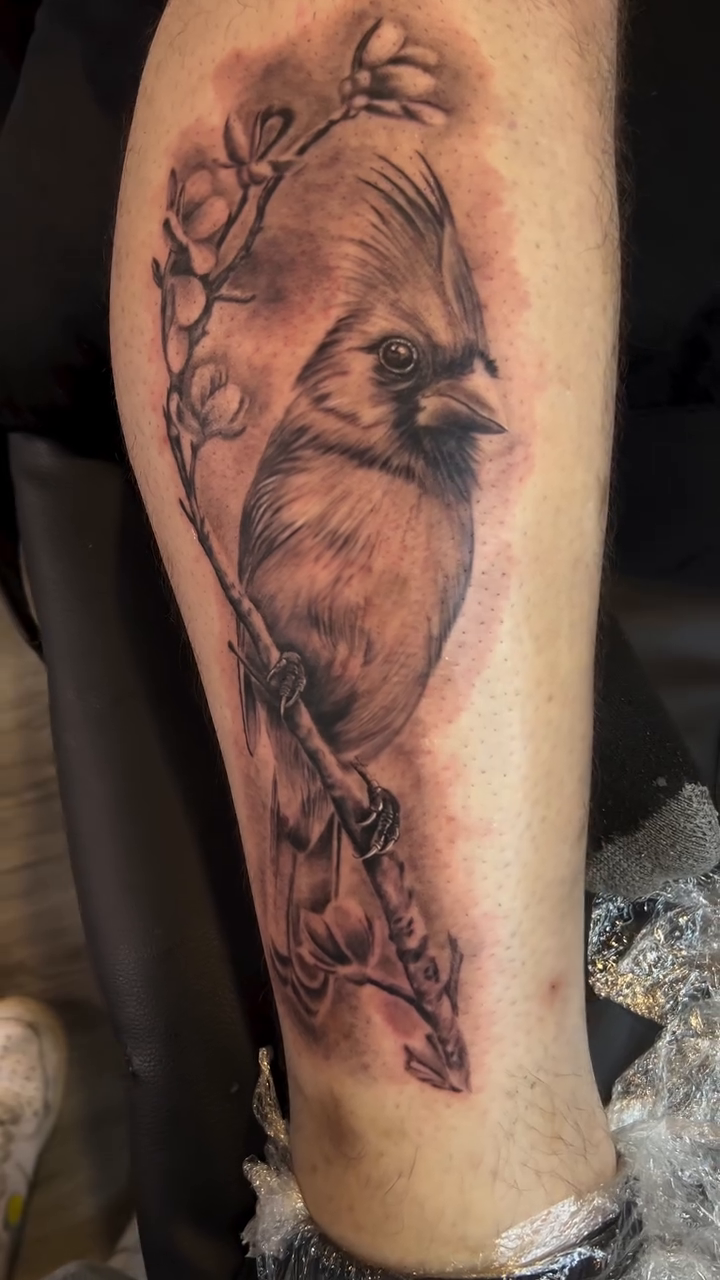 Cardinal bird with flowers fine line tattoo on the forearm by Oto_art
