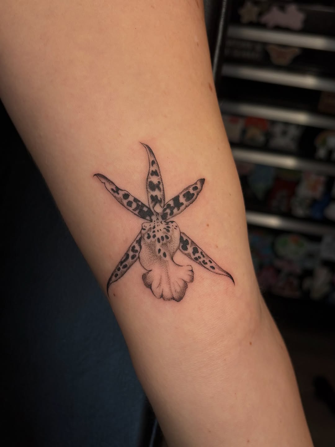 Tattoo by @emeraldbeetattoo โ fine_line, black_and_grey