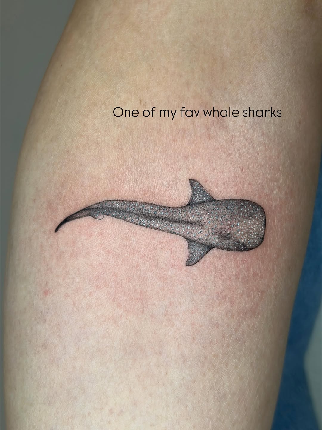 Tattoo by @tsuinami.tattoos — black_and_grey, fine_line