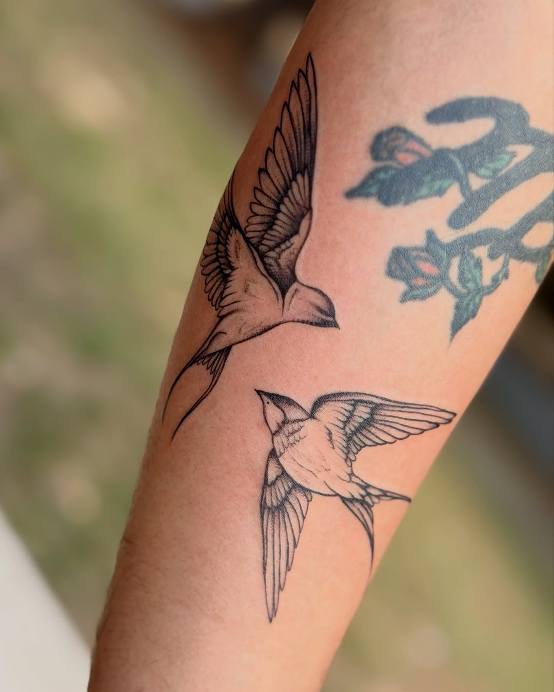 Two swallows fine line tattoo on the forearm by Emily Velletta, Huntersville, North Carolina