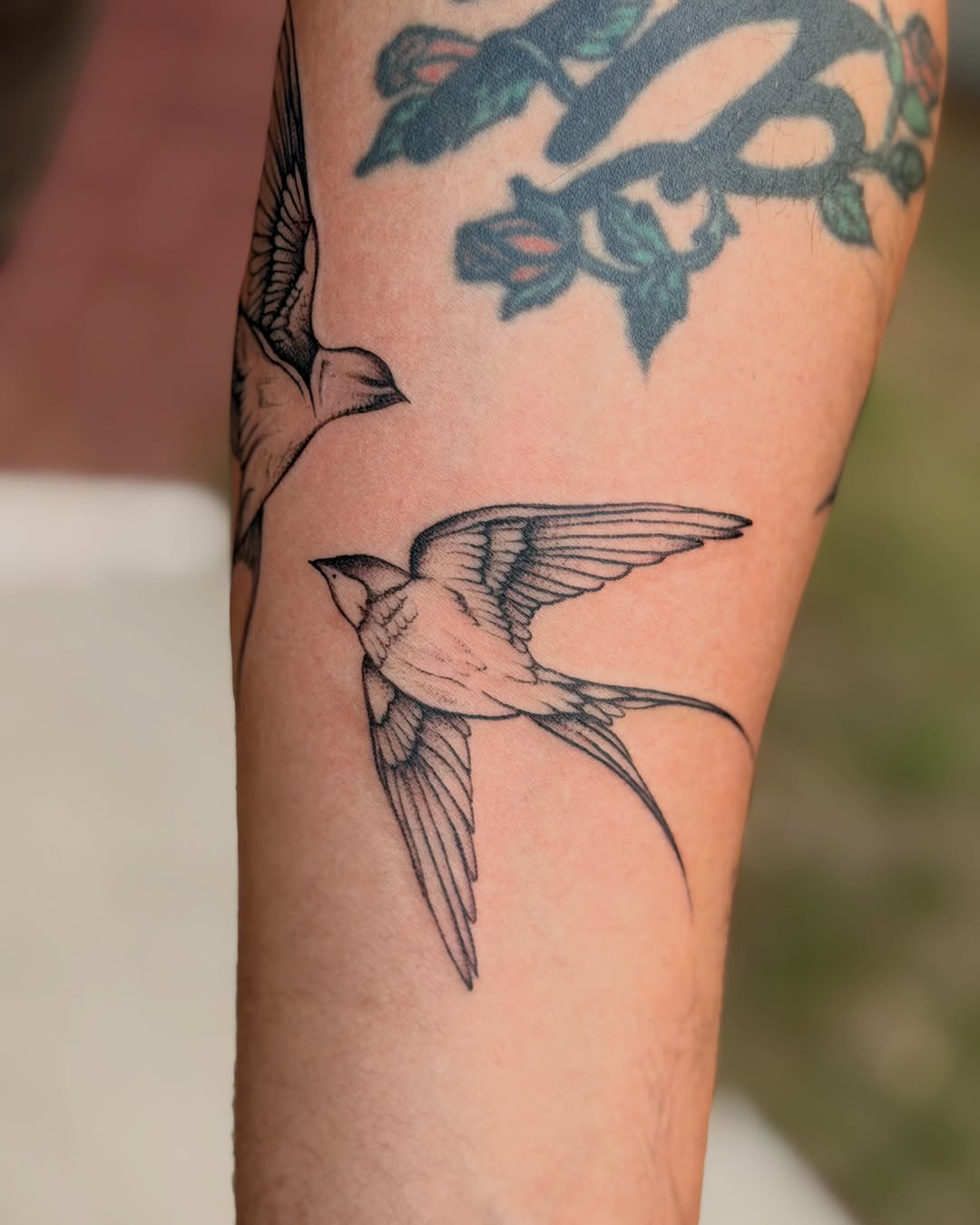 Swallows in flight fine line tattoo on the forearm by Emily Velletta, Huntersville, North Carolina