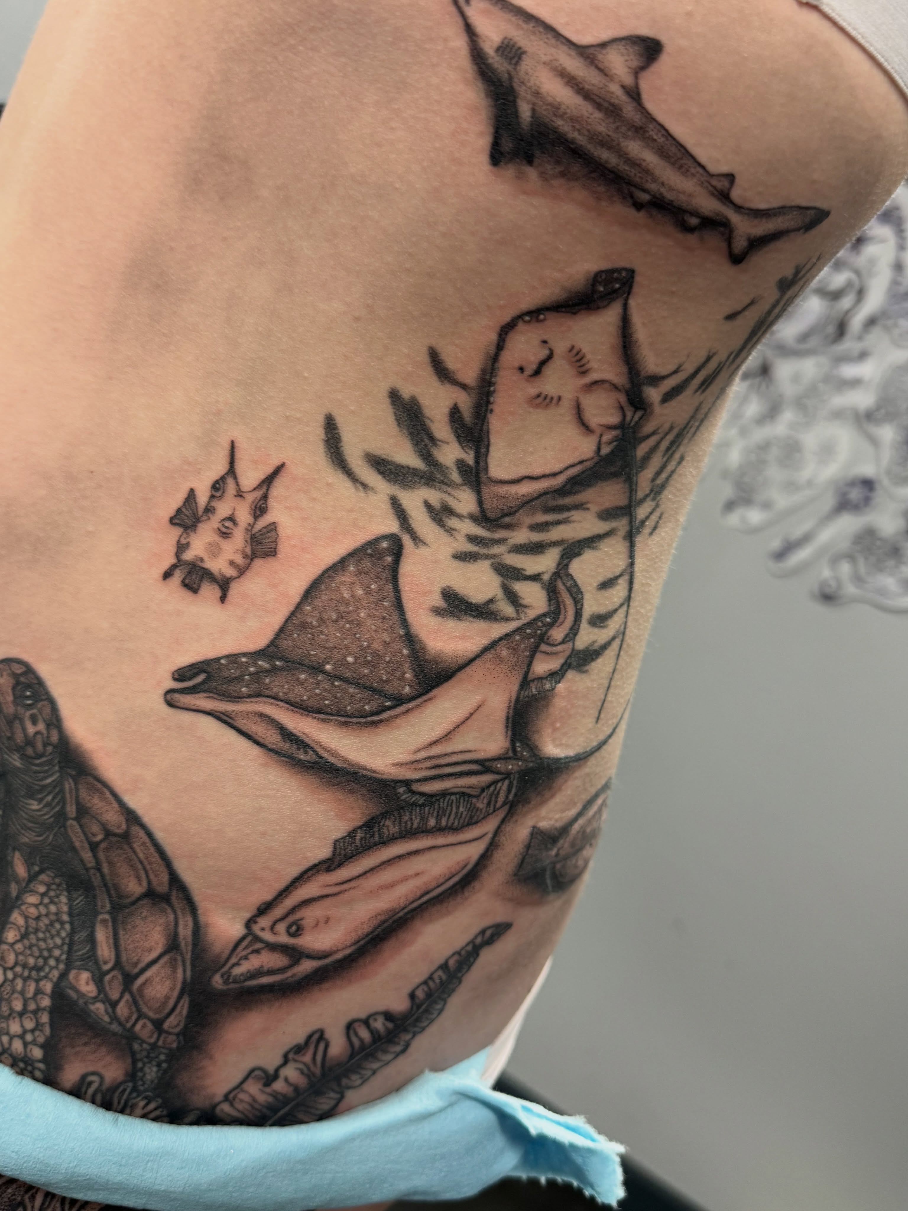 Tattoo by @feralfawntattoo — black_and_grey