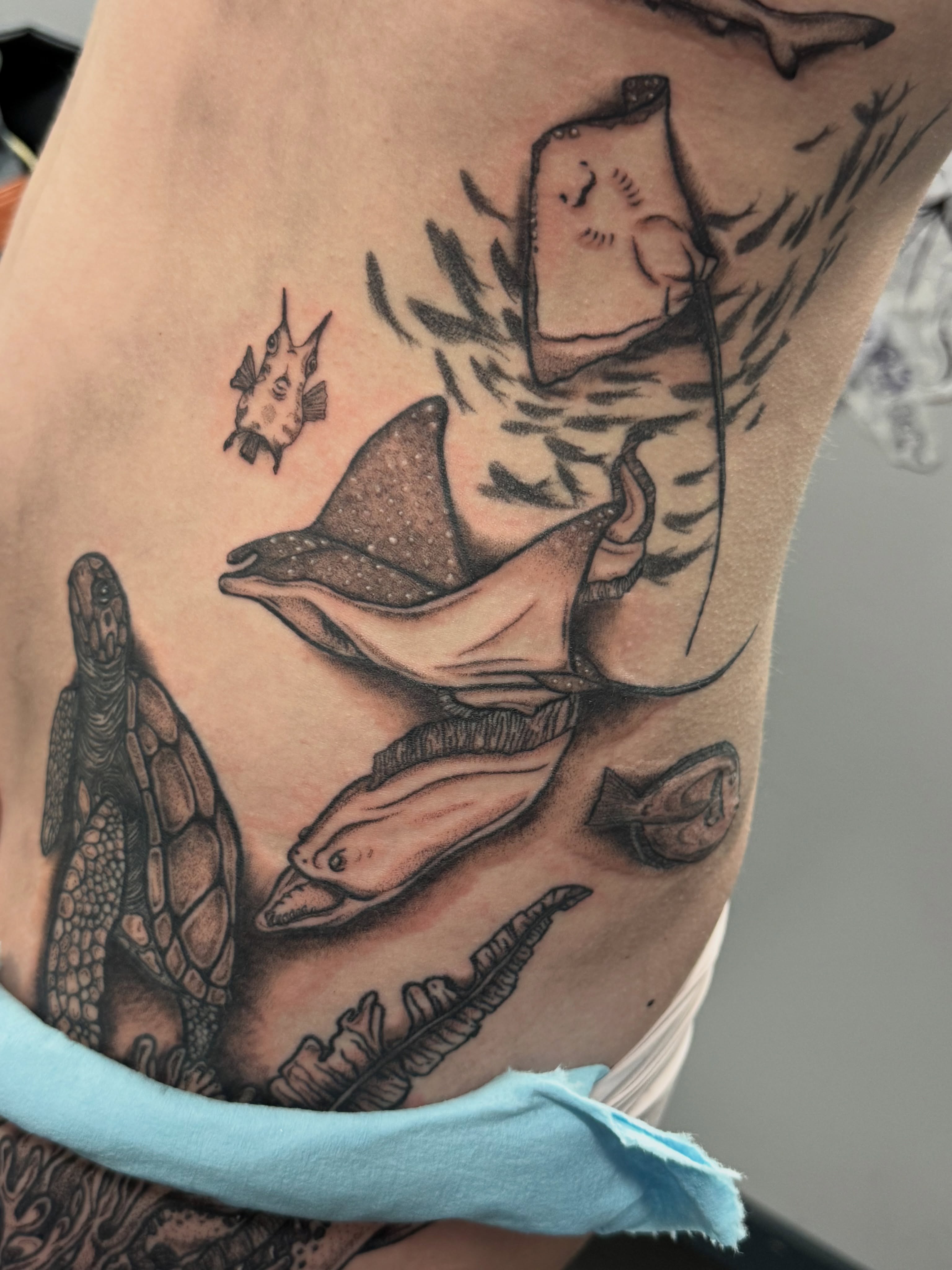 Tattoo by @feralfawntattoo — black_and_grey