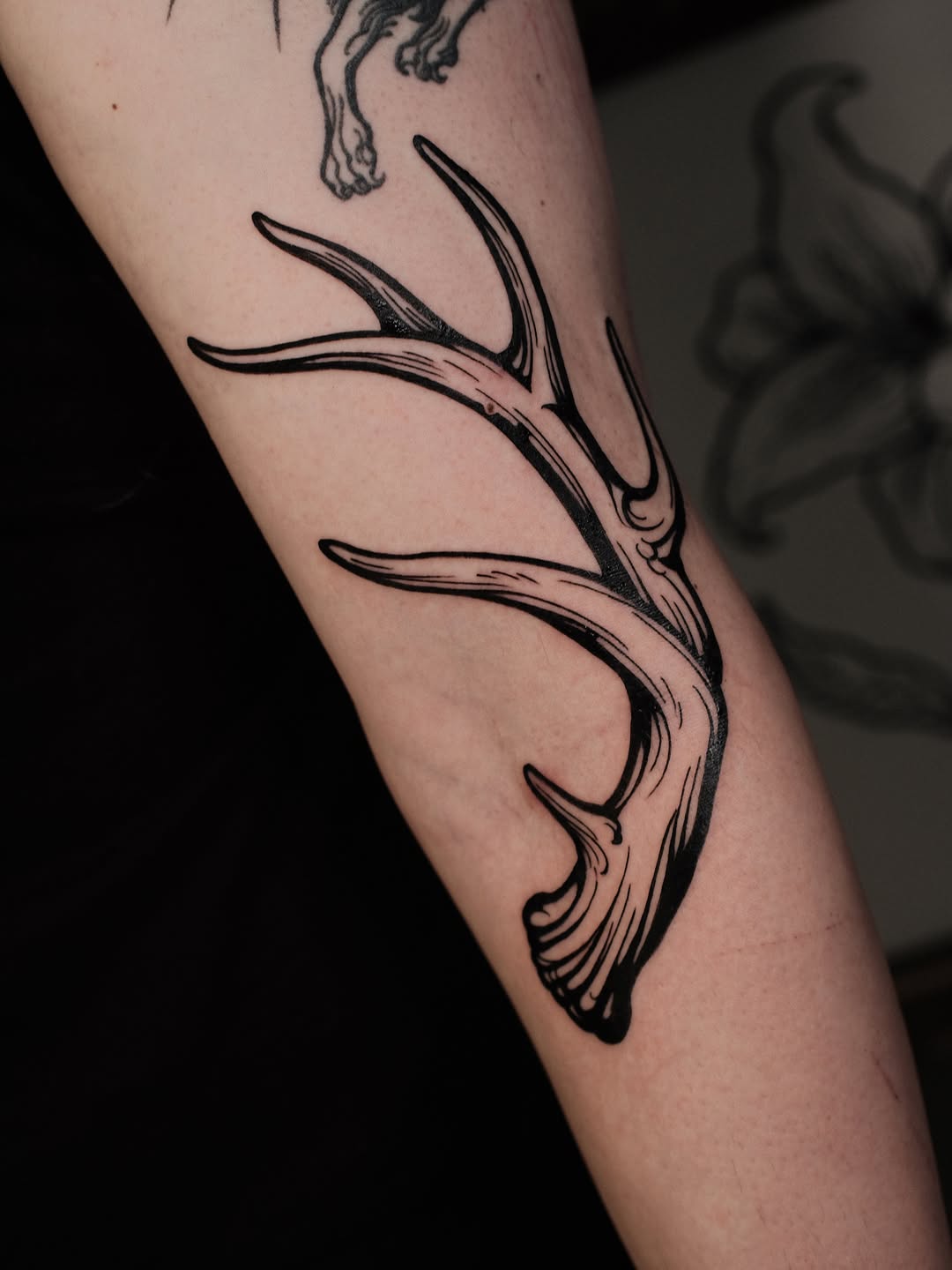 Tattoo by @staydoomed — blackwork