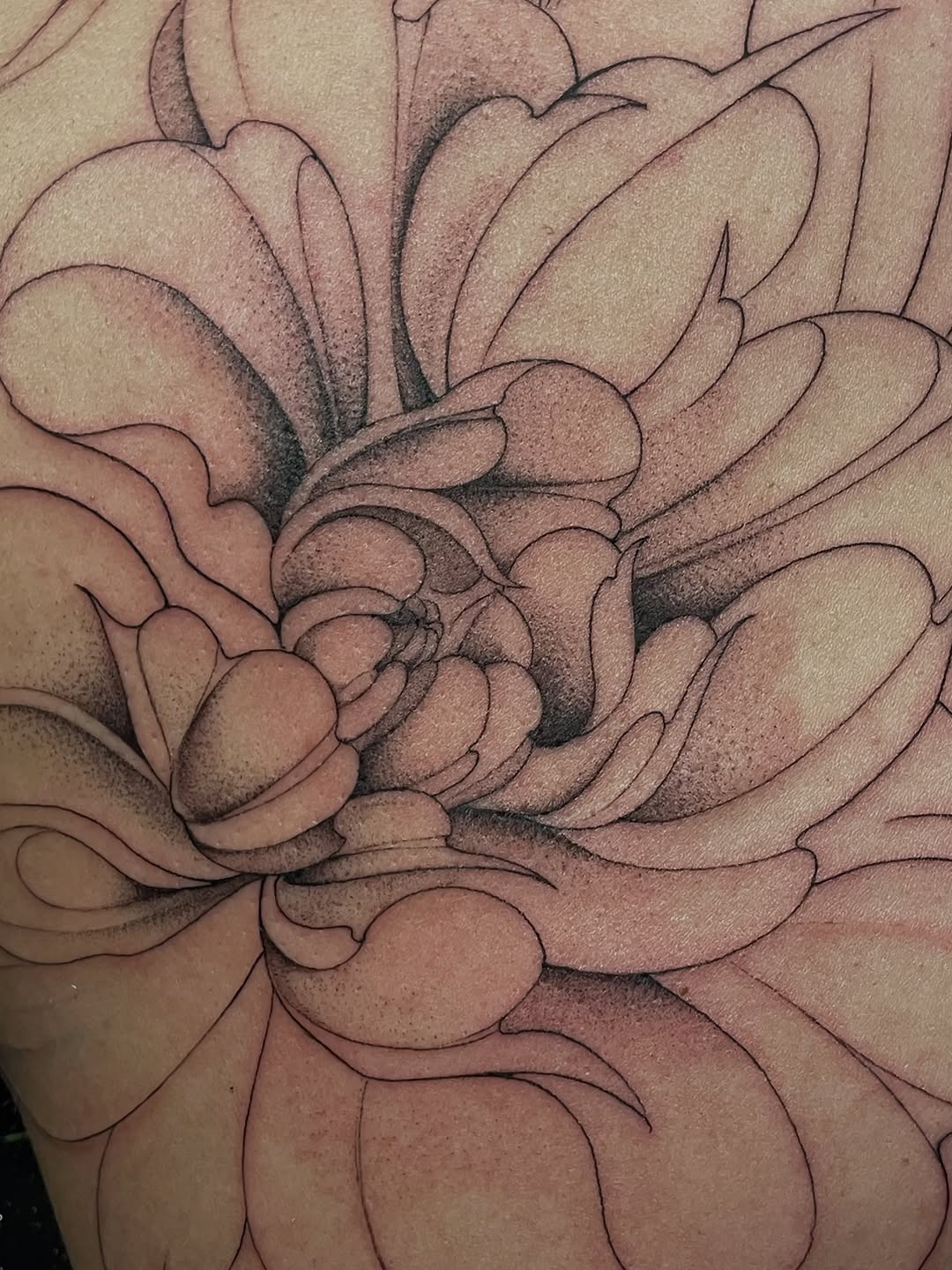 Tattoo by @mimiblu_stattoos — dotwork, black_and_grey