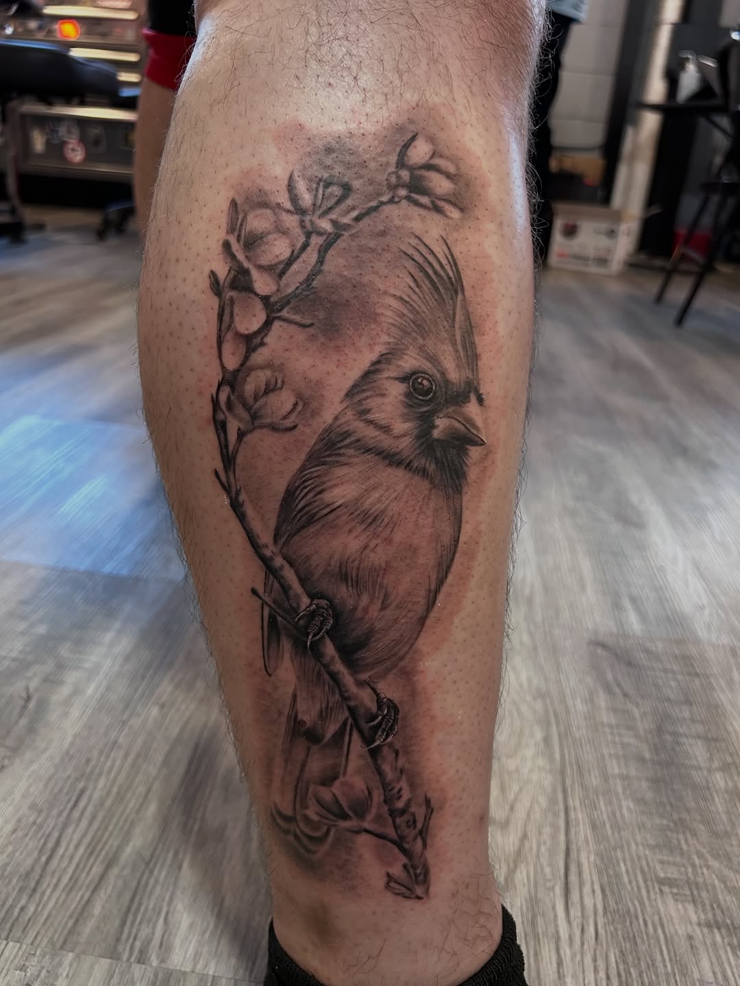 Cardinal on a branch fine line tattoo on the forearm by Oto_art