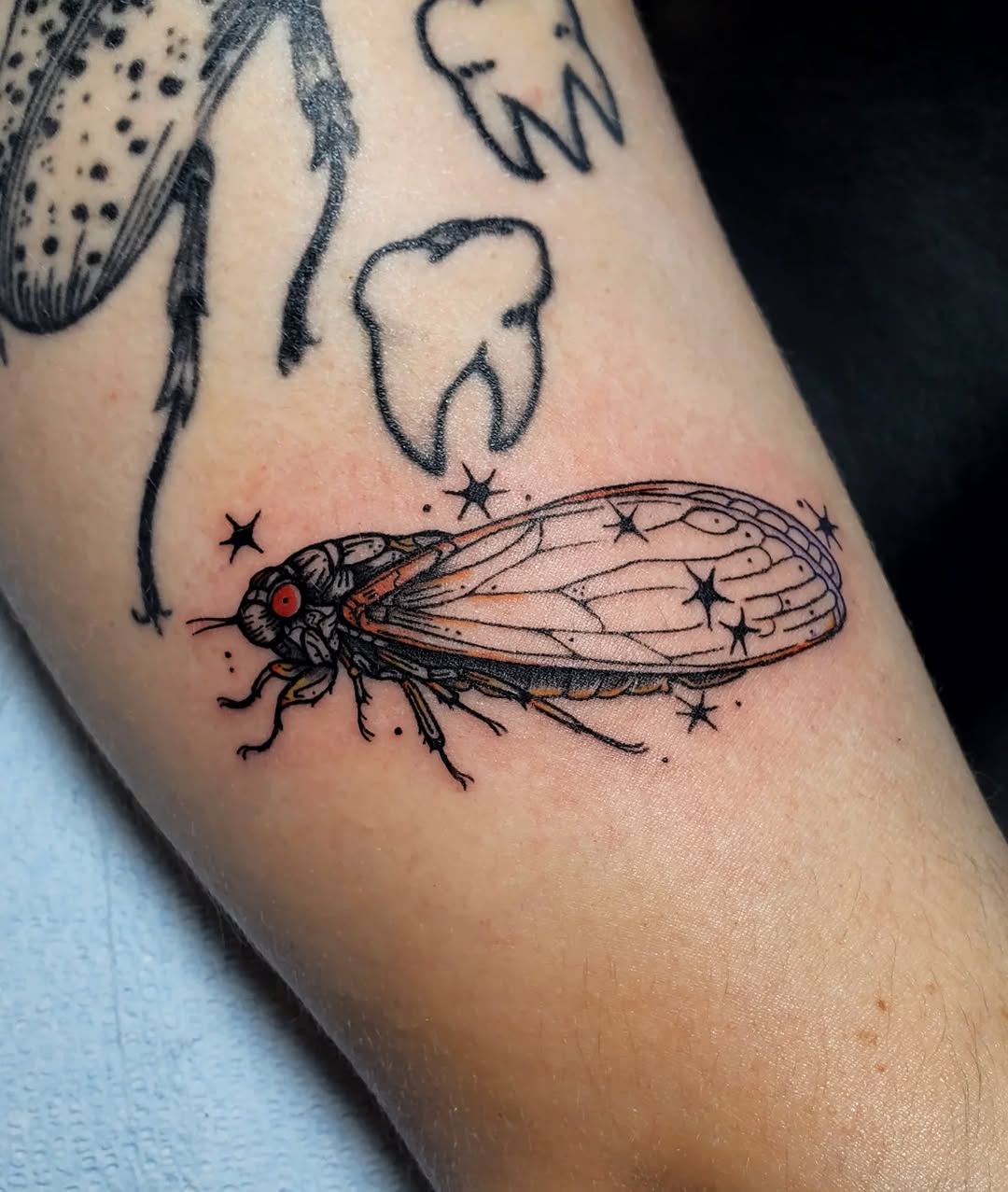 Tattoo by @shaileypasquale — fine_line, illustrative