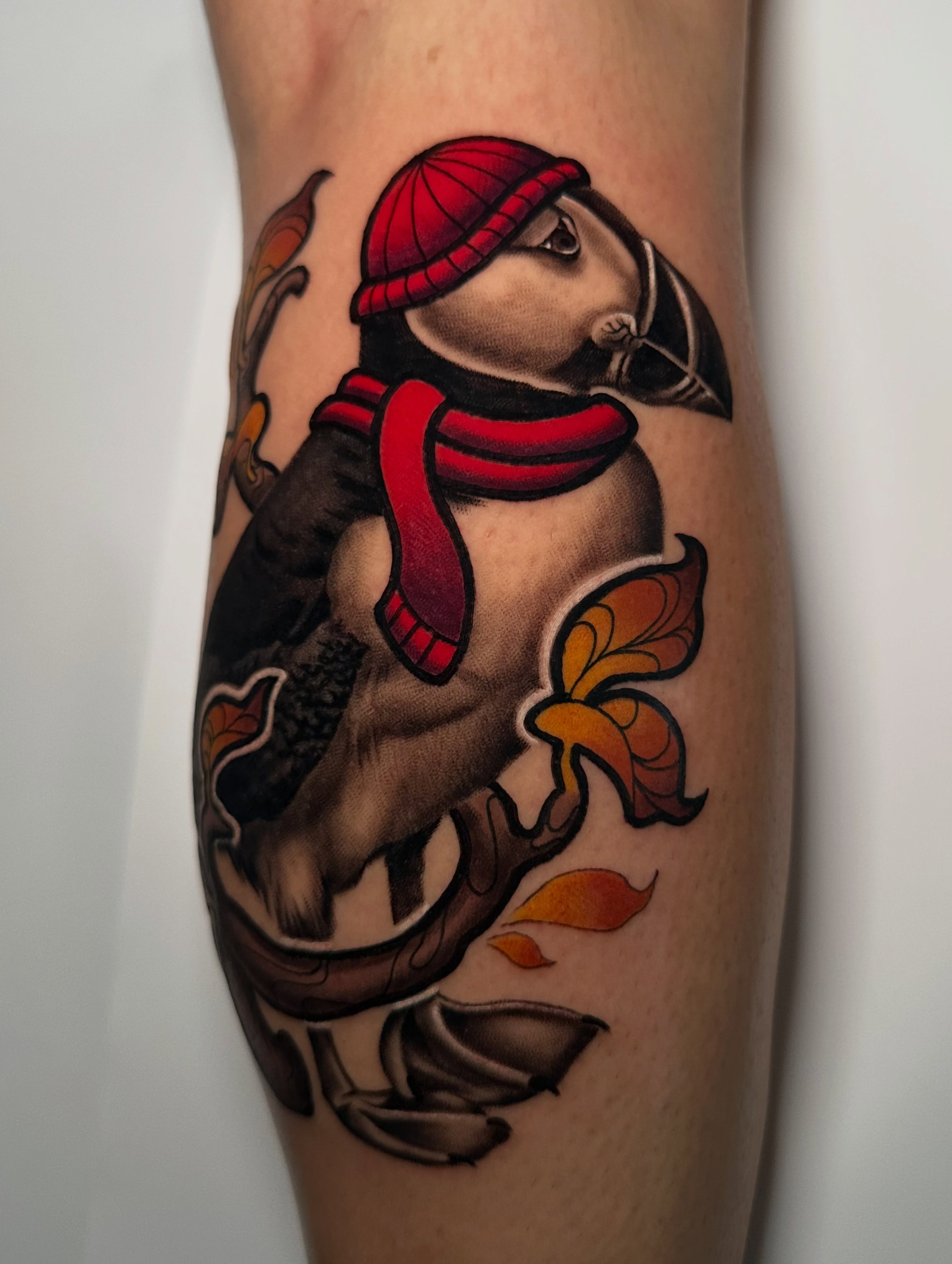 Puffin American traditional tattoo on the forearm by 🌿 Vicky Stoner 🌿