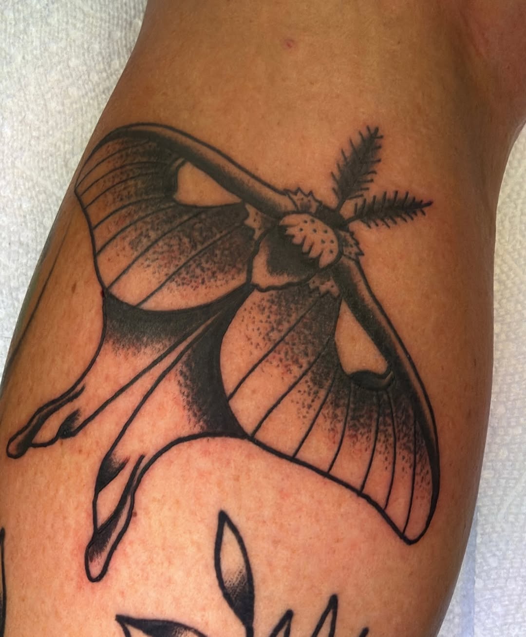 Tattoo by @zachedentattoo — black_and_grey, dotwork