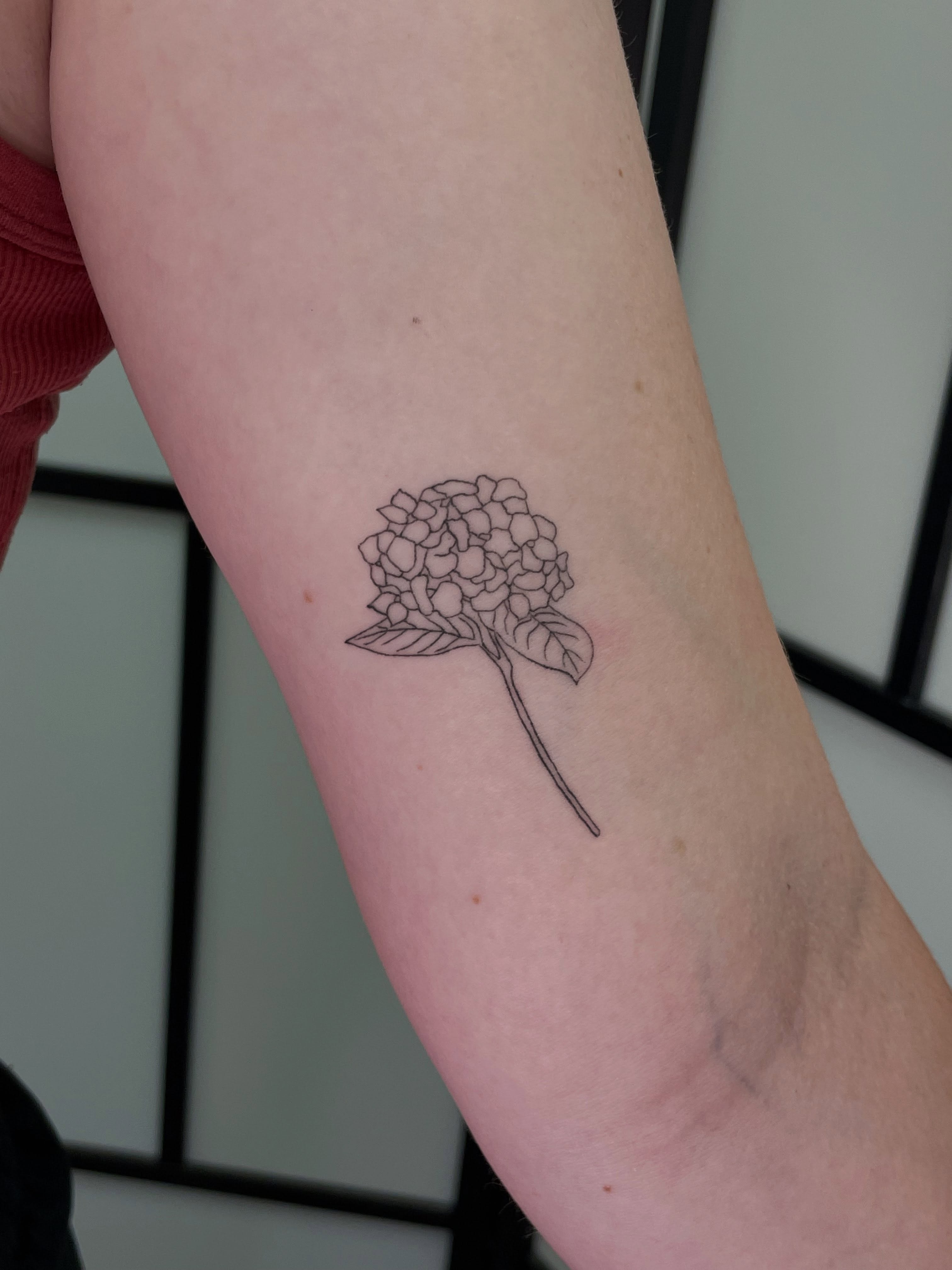 Hydrangea minimalist tattoo on the forearm by Gel Clark