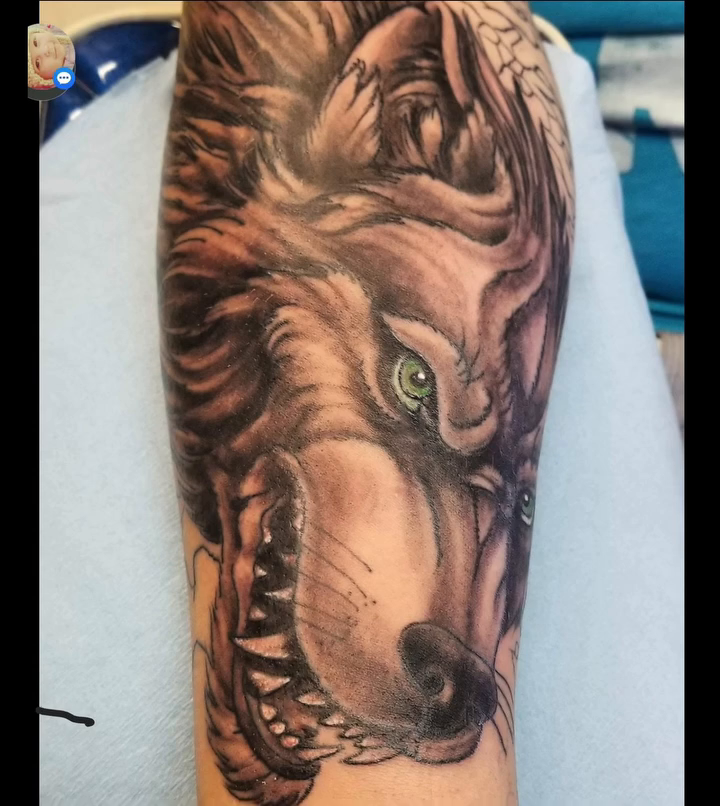 Wolf head realism tattoo on the forearm by Shane Watkins