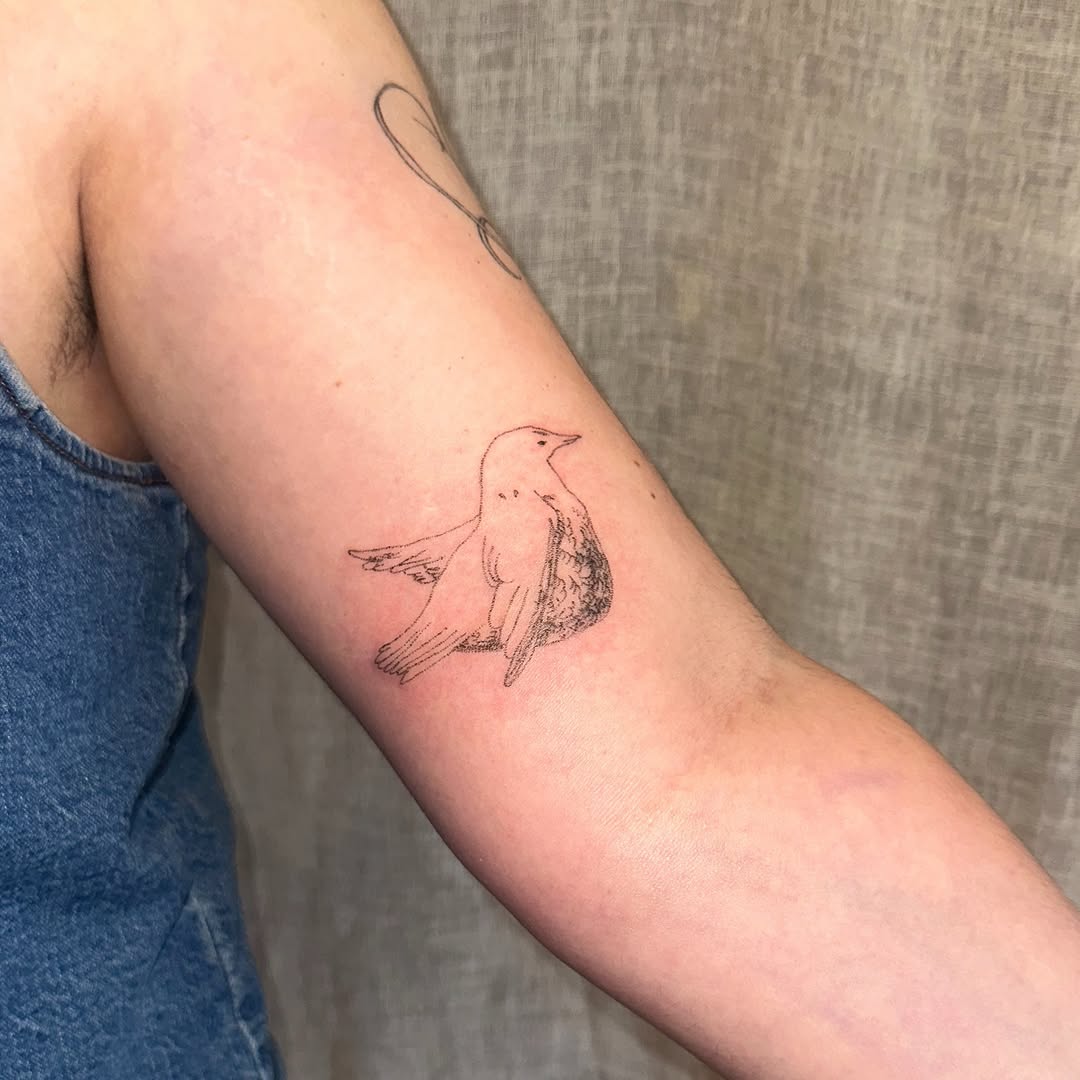 Bird fine line tattoo on the forearm by kate