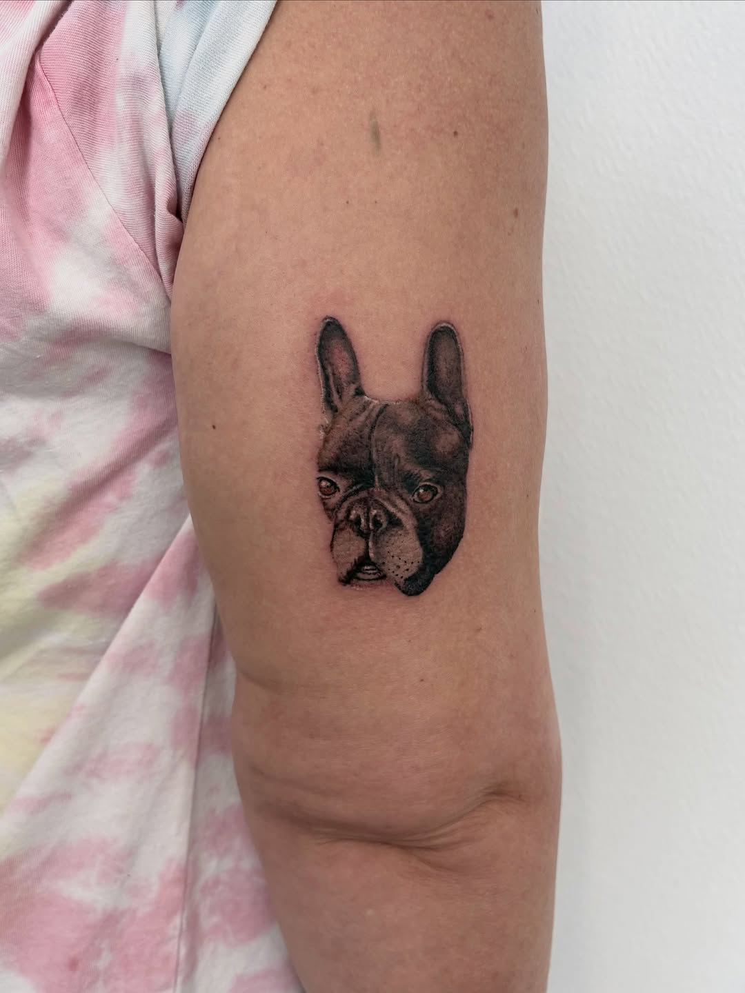 French Bulldog portrait realism tattoo on the forearm by Deborah