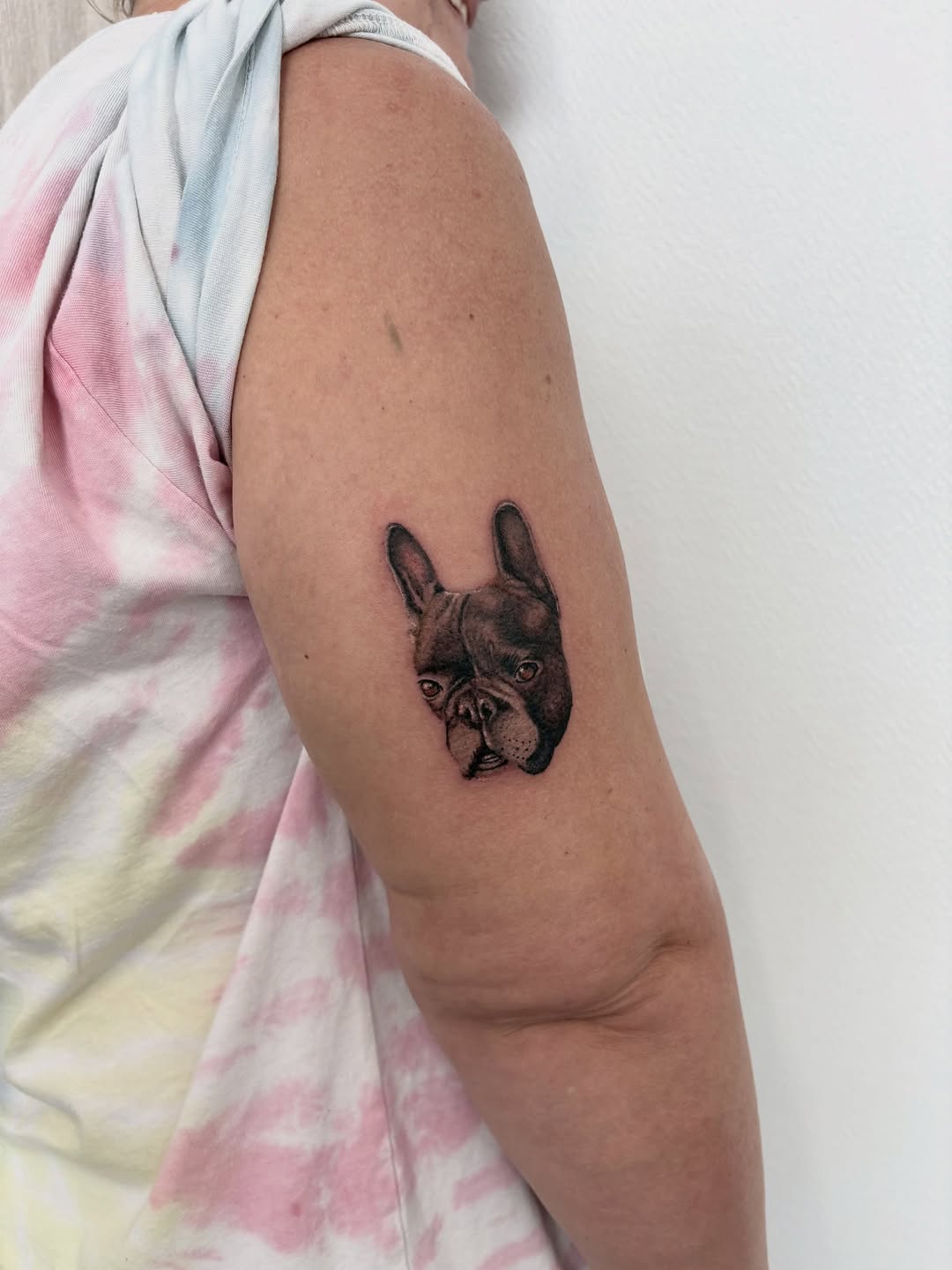 French Bulldog portrait realism tattoo on the forearm by Deborah