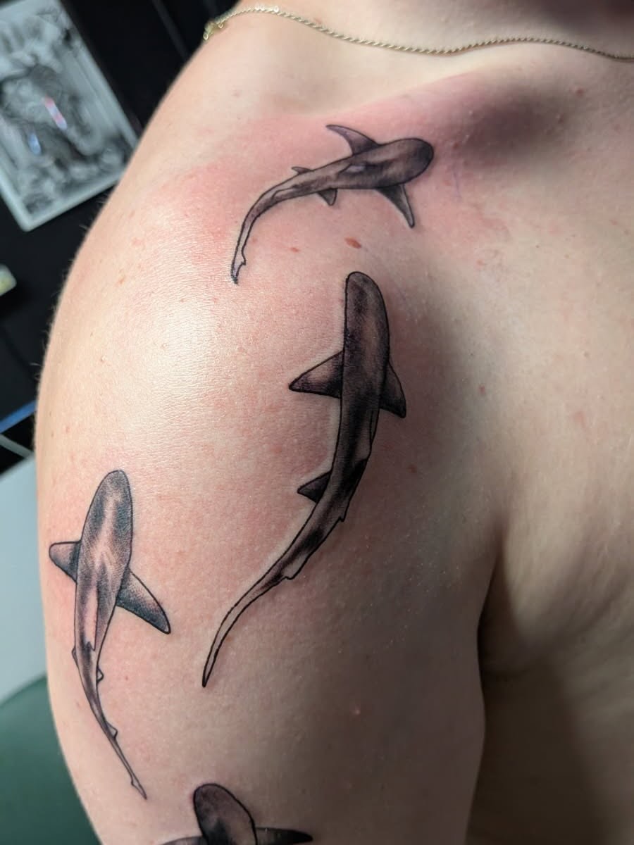 Tattoo by @haileysharpstabs — black_and_grey, realism
