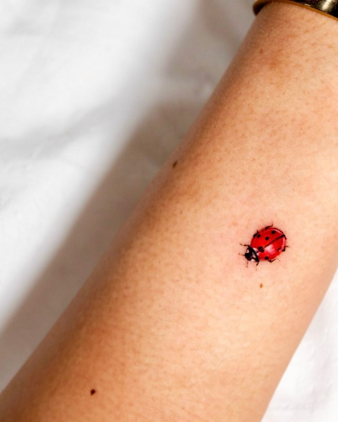 Ladybug realism tattoo on the forearm by NAS