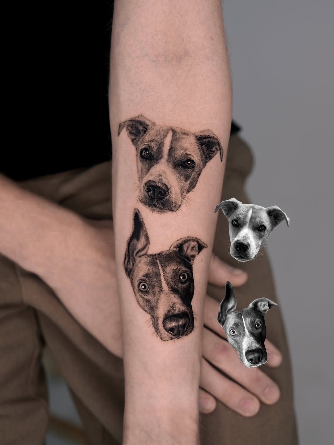Dog portraits realism tattoo on the forearm by Jun